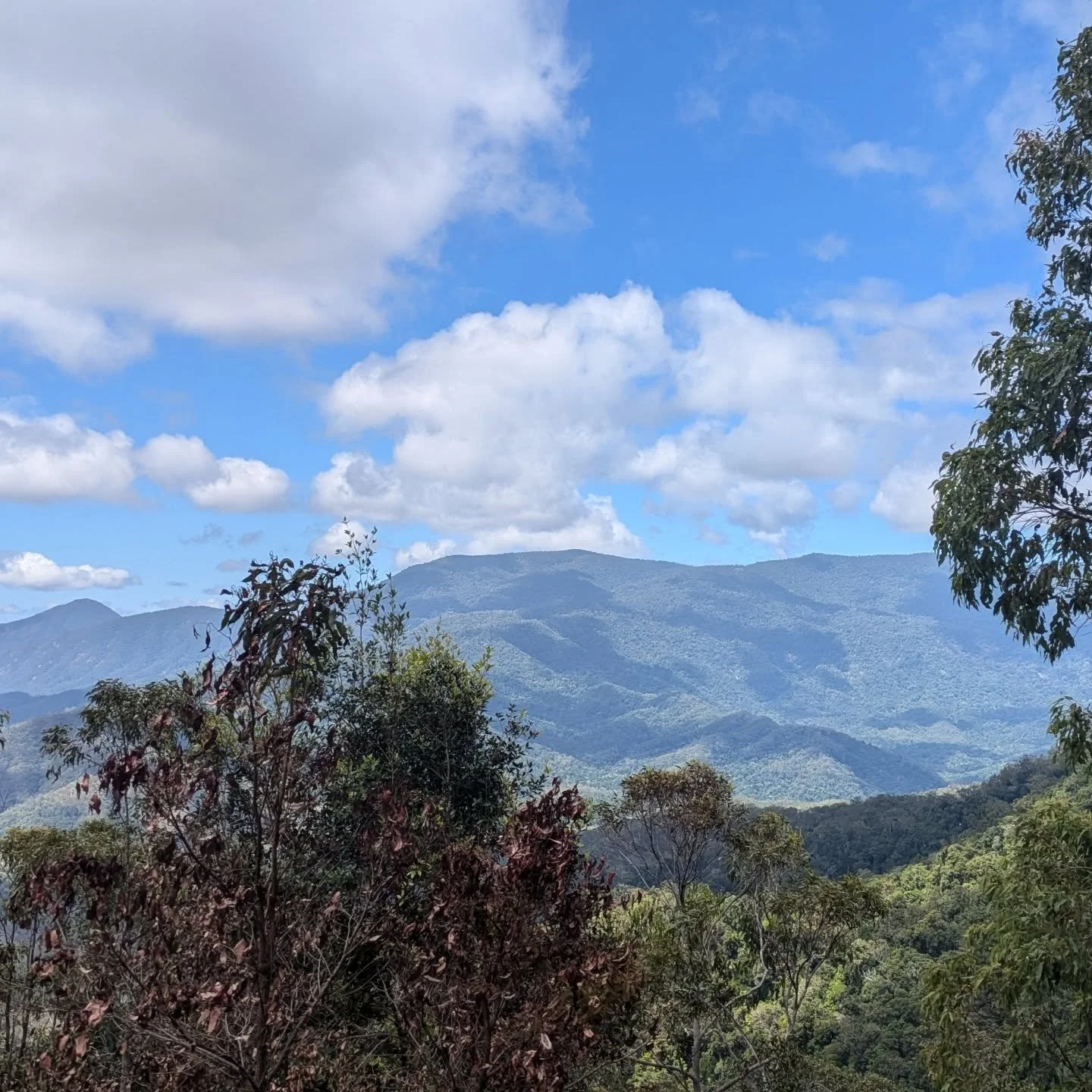 Thanks Atherton. What a privilege to travel to this country to be with a group made up of OTs, psychologists, therapists, social workers and all round wonderful humans. 

To sit in big conversations on oppression, pain, trauma, recovery and pathways 