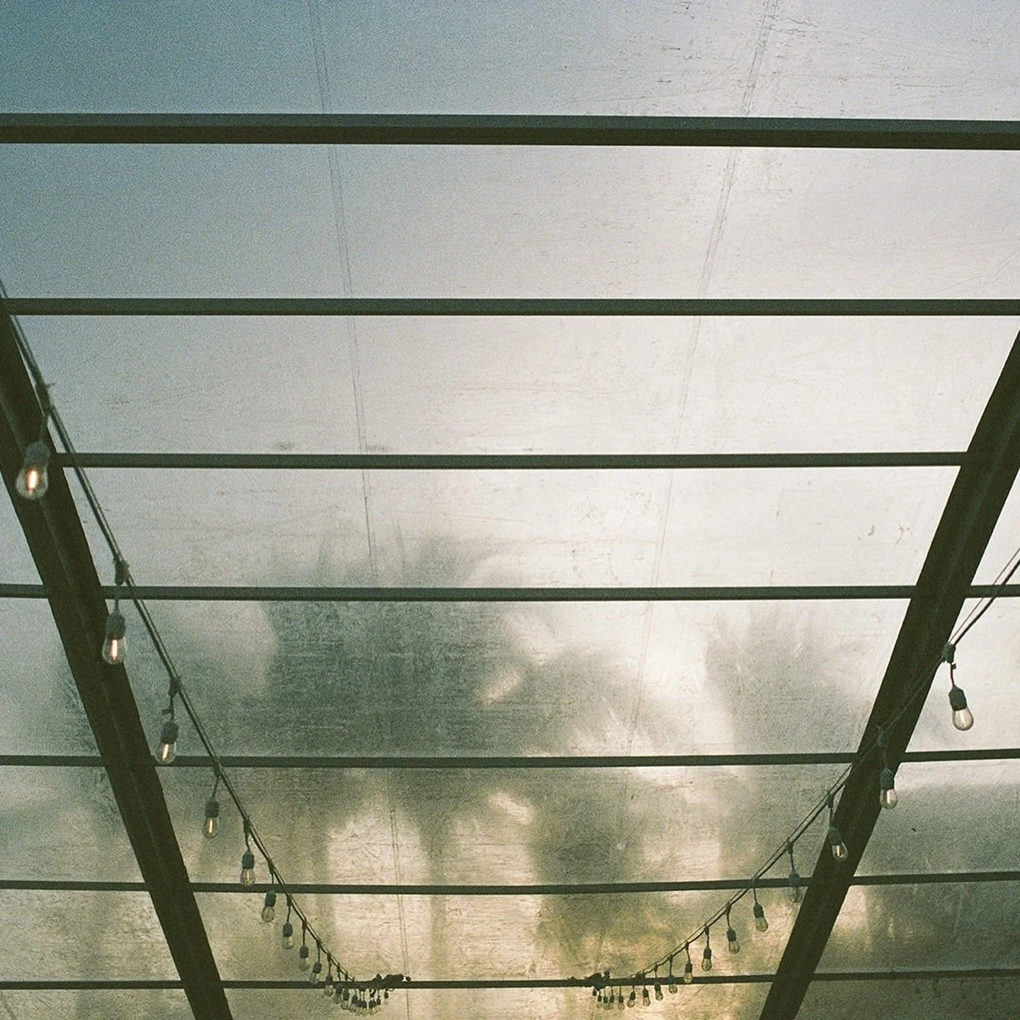 that one where i went to cancun to celebrate with emily and noah at @villalajoya &mdash; we had sunshine, we had rain, and we had an incredible time 

photos taken on film and digital 🤎