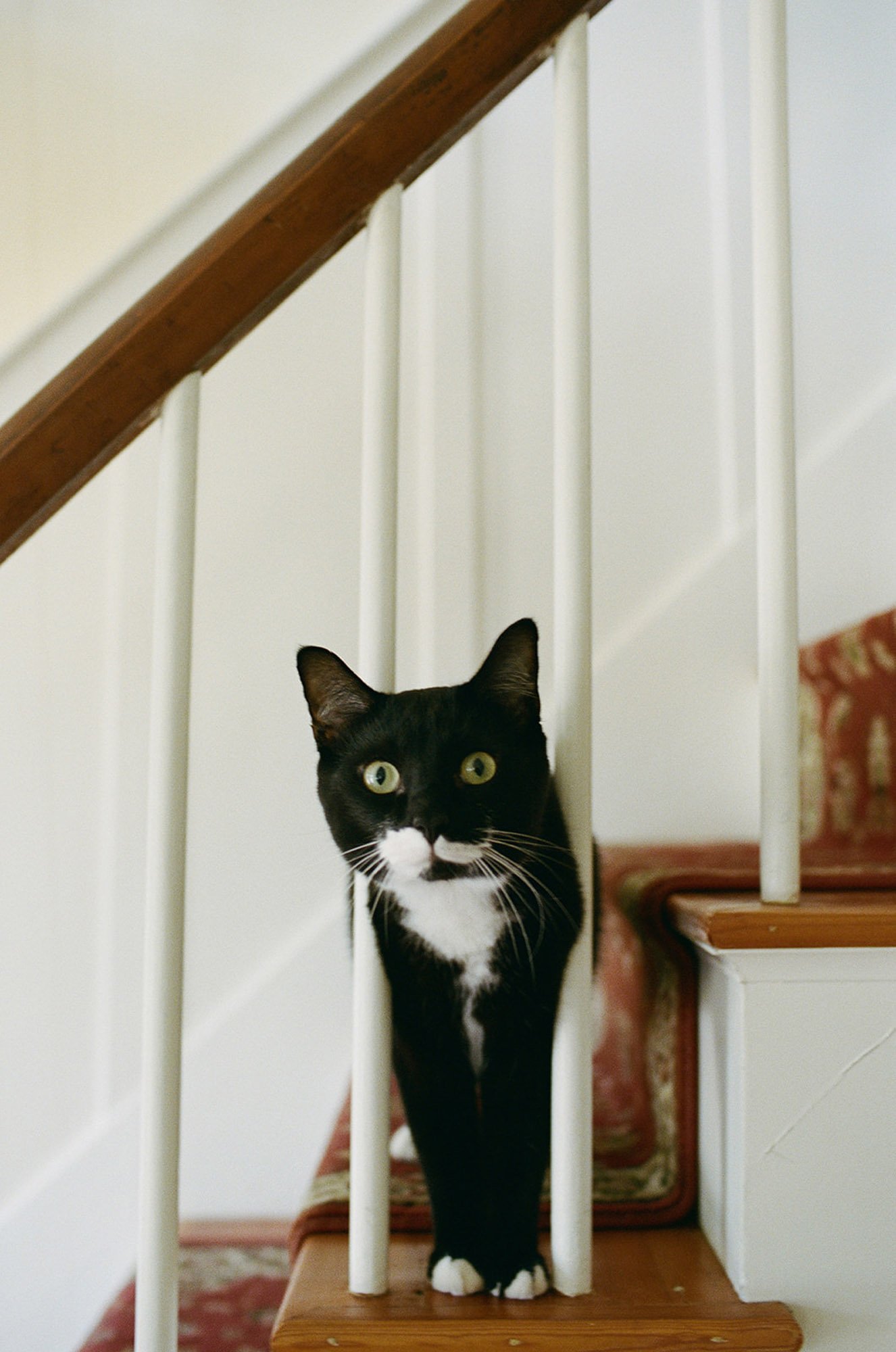 kennebunk-maine-wedding-only-film-wedding-photos-jesslivingphoto-102.jpg