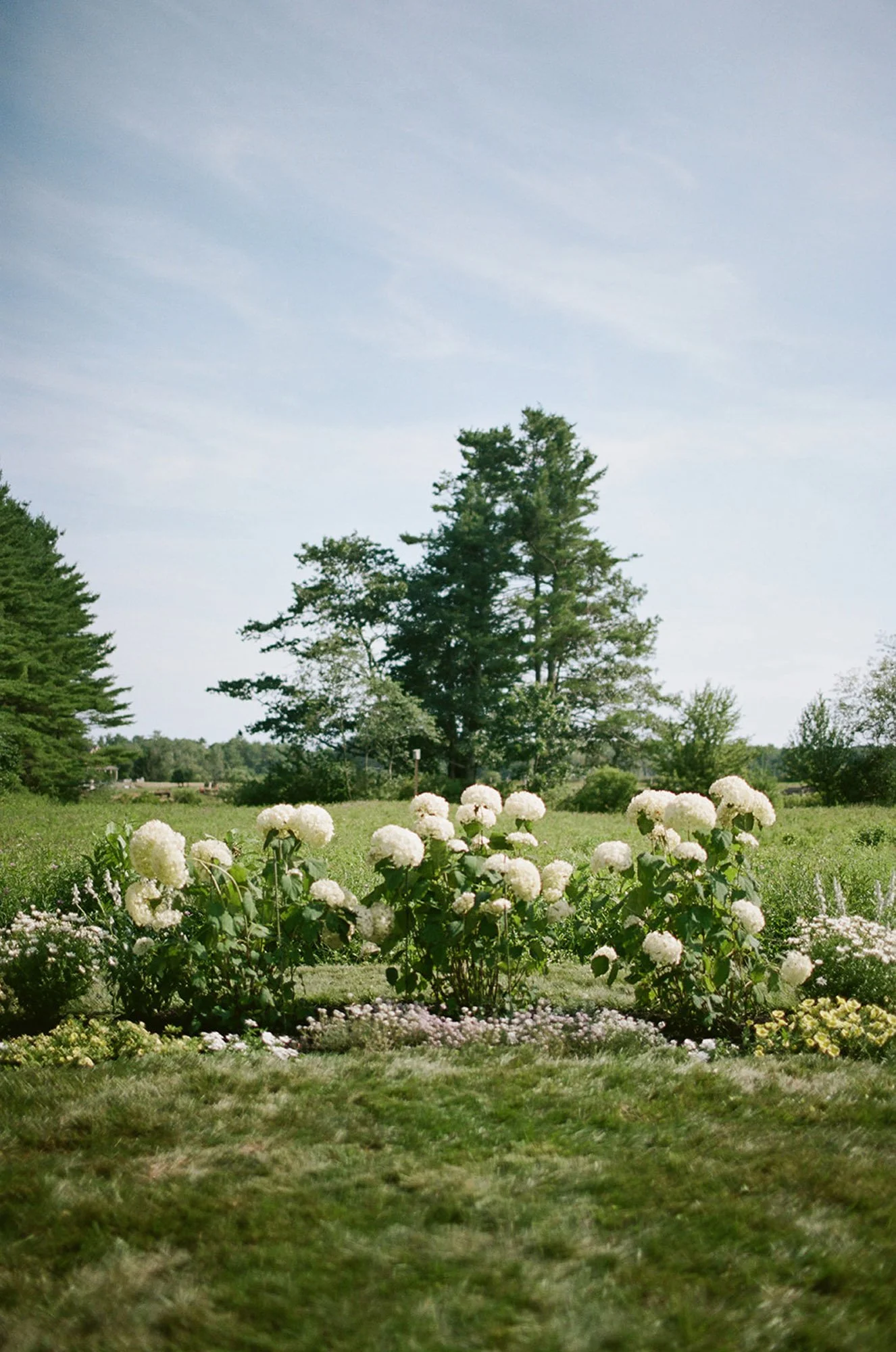kennebunk-maine-wedding-only-film-wedding-photos-jesslivingphoto-88.jpg
