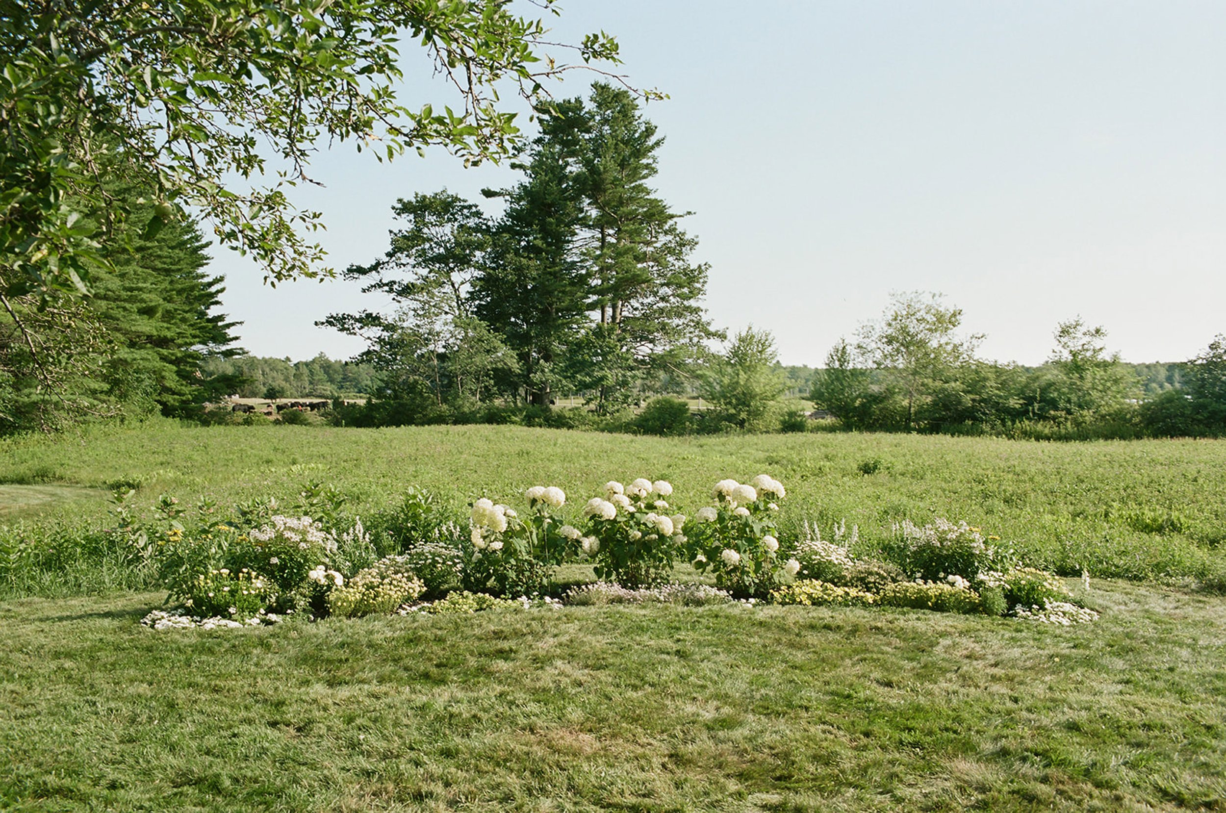 kennebunk-maine-wedding-only-film-wedding-photos-jesslivingphoto-89.jpg