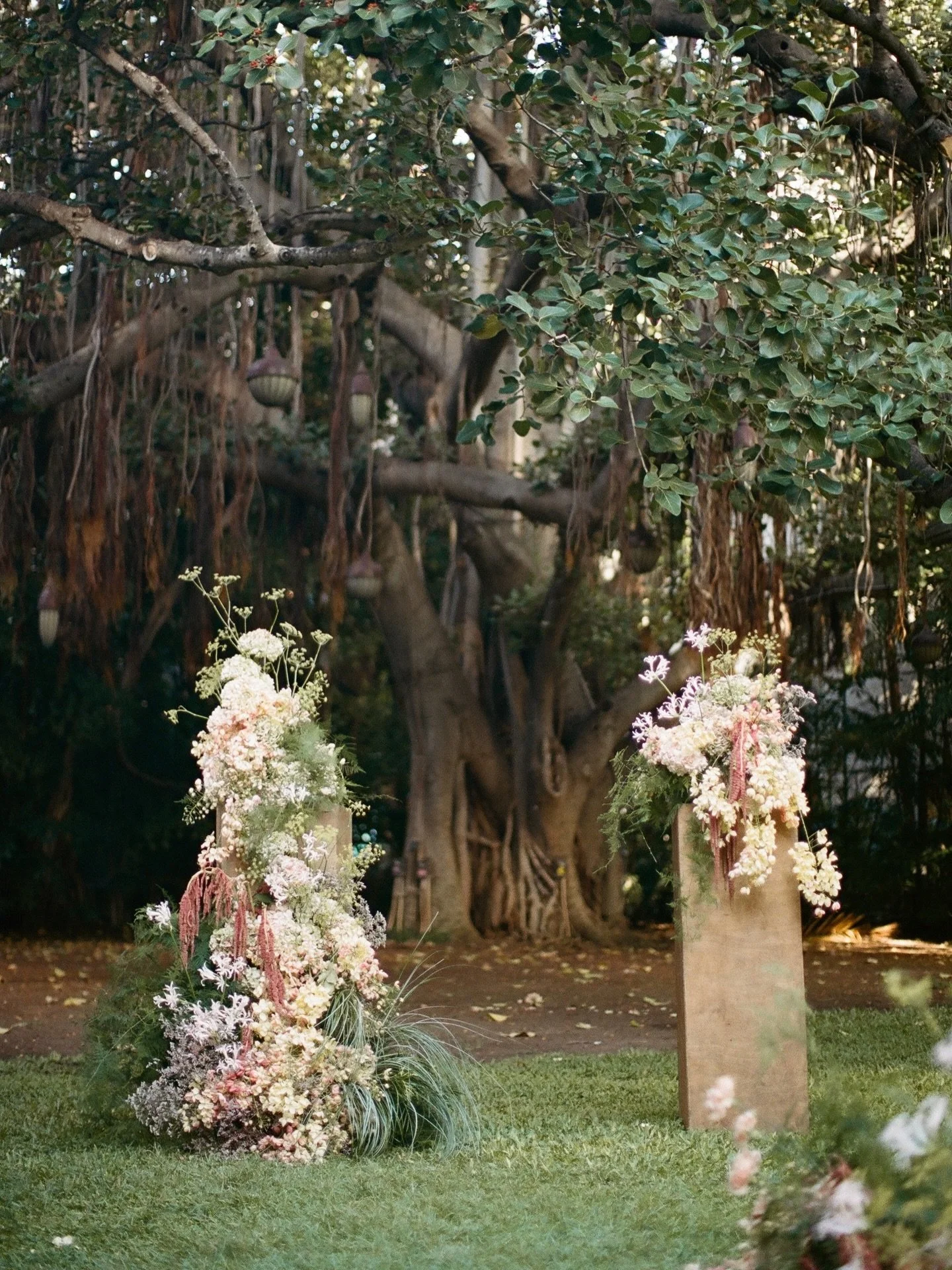 my film scans from a lovely weekend on oahu 🌺

ss for @nikkistrekowski_photo
