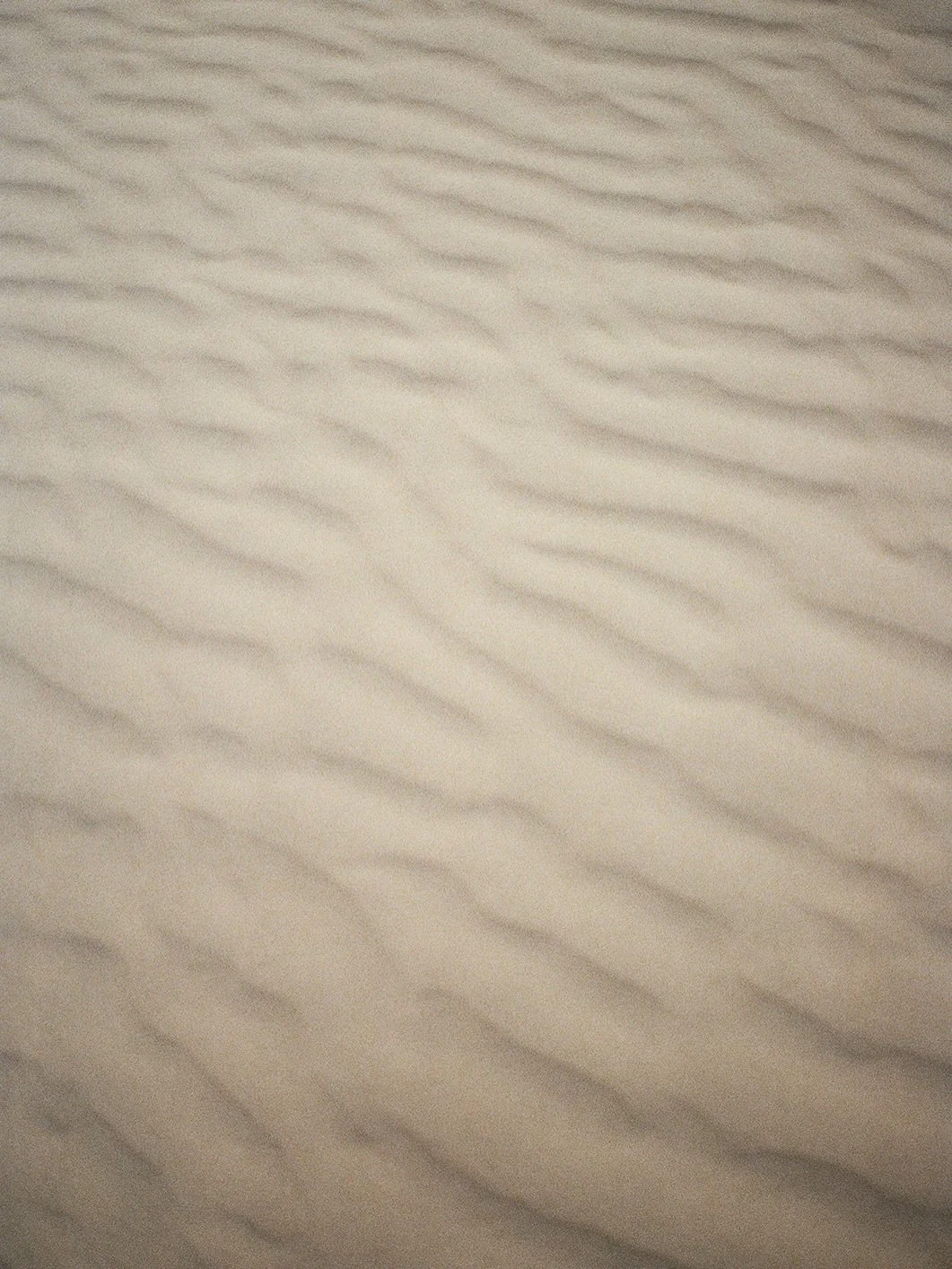 the wind in the dunes makes for a pretty beautiful night for engagement photos 🤍

mostly film, hint of digital 😘