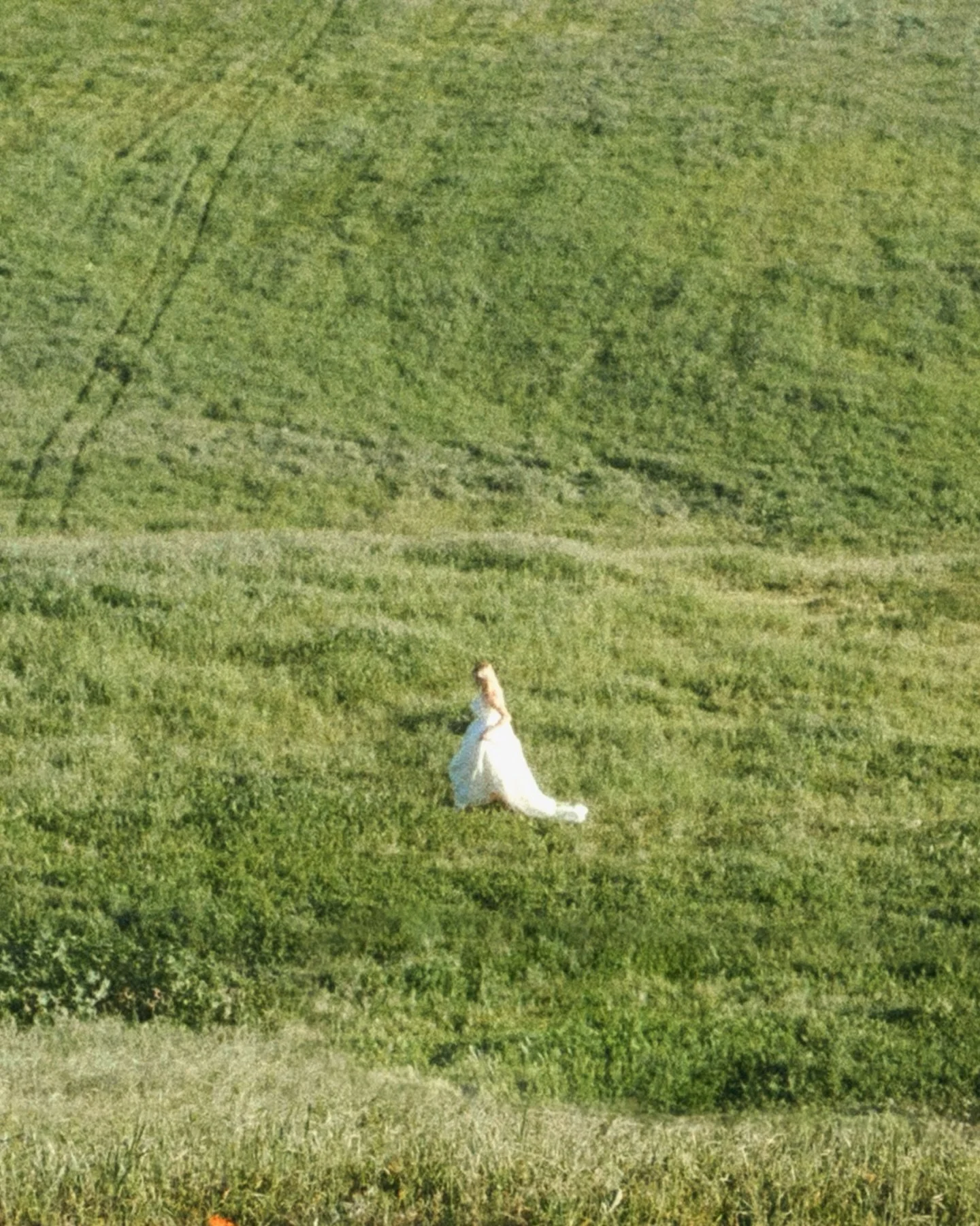 wuthering

for the first time &mdash; film scanned by me 🥹