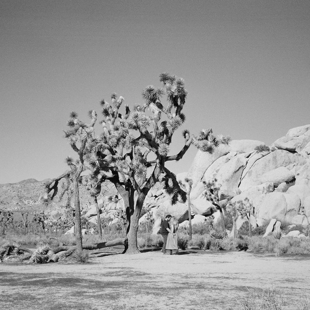 it&rsquo;s wedding day for molly &amp; will 🤍