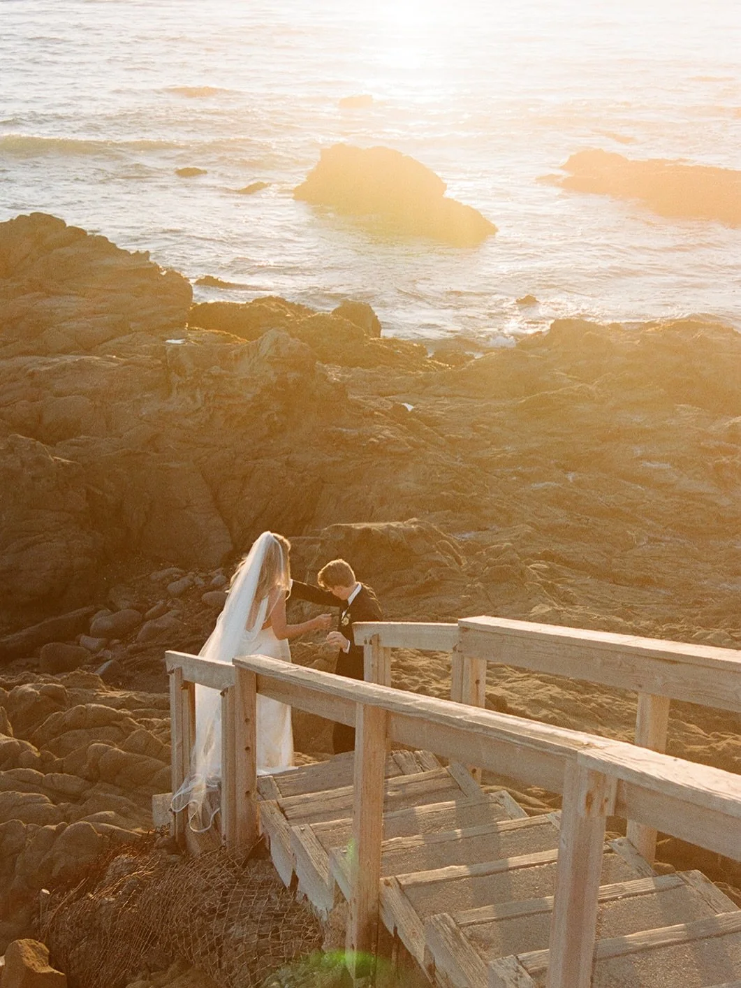 what it looks like in my camera roll when you search for different colors 🥹

💄🍊🌝🌴🦋🌸🪩