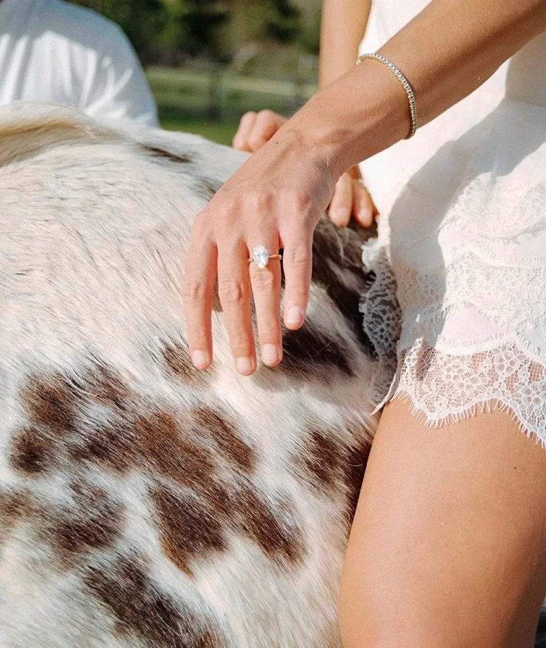 engagements for adele &amp; connor at @hilltopguestranch 

🐴🎞️