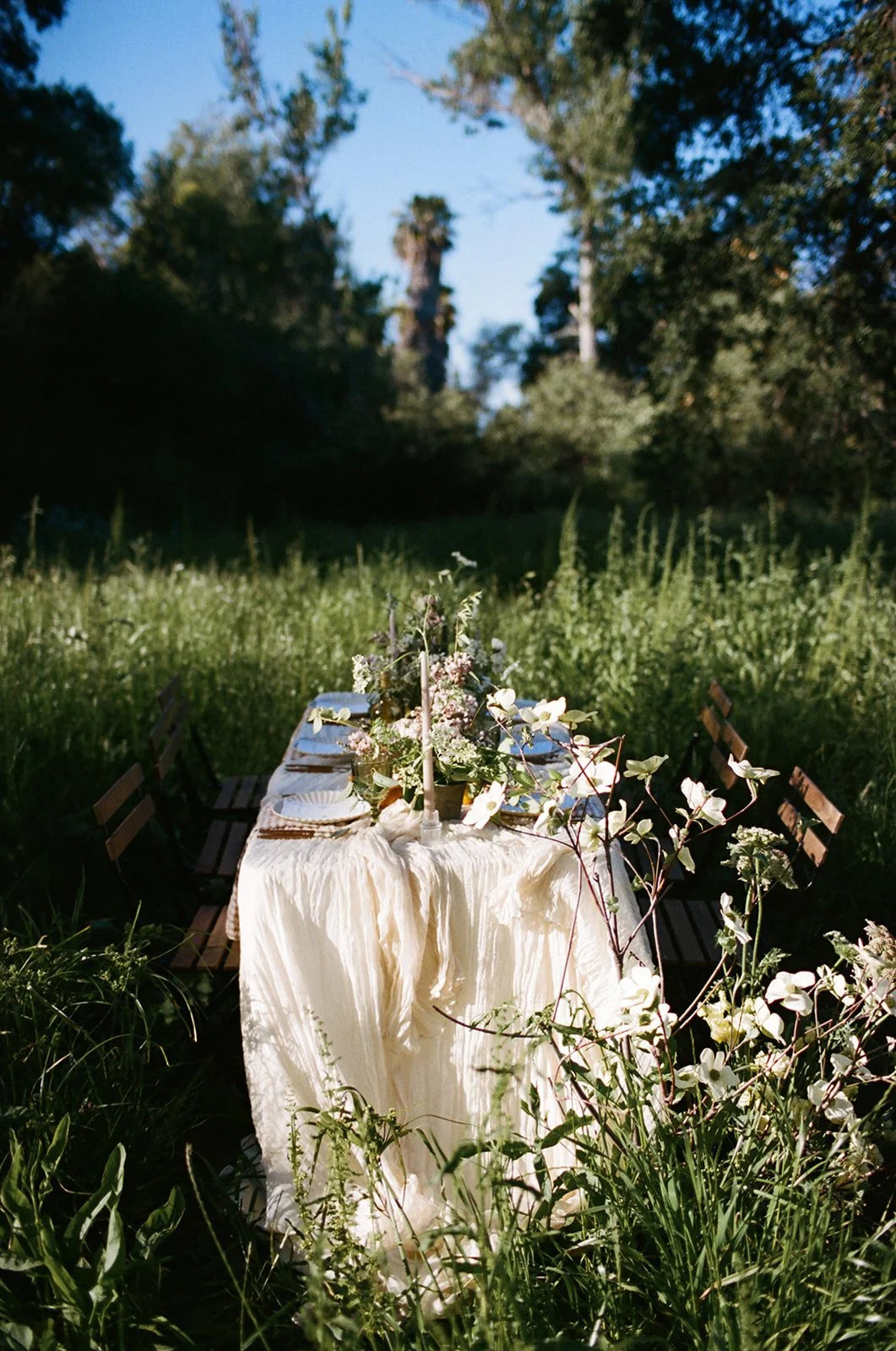 jess living photo portfolio-44.jpg