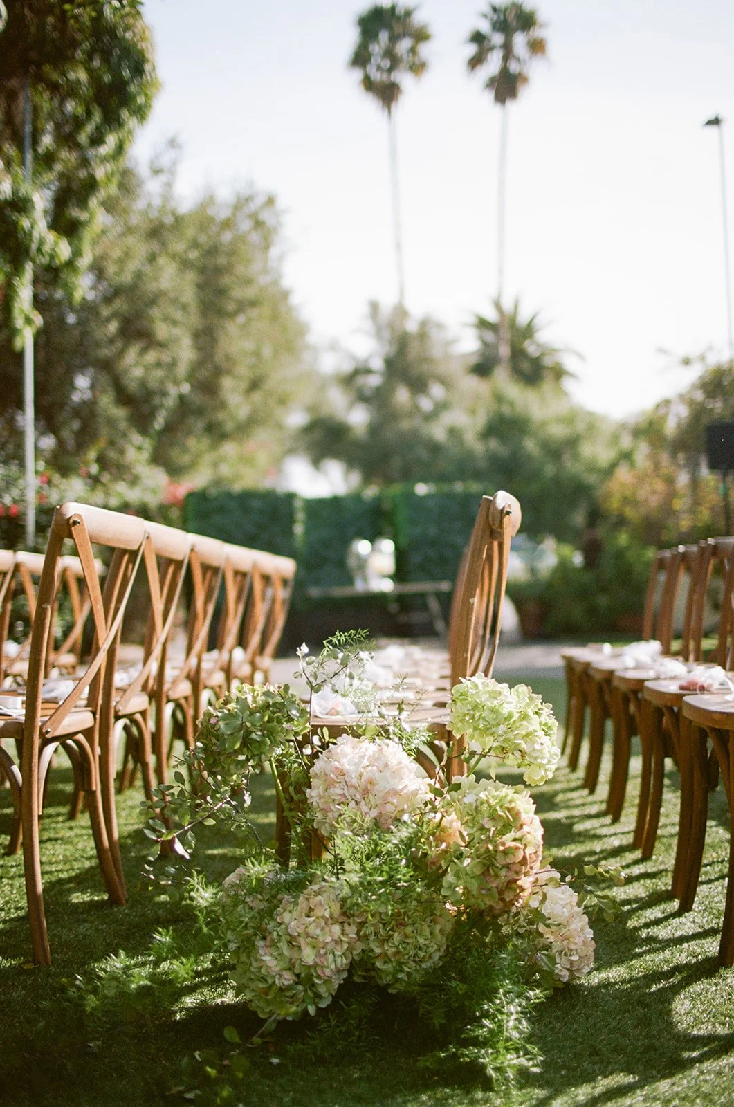 jess living photo portfolio-122.jpg