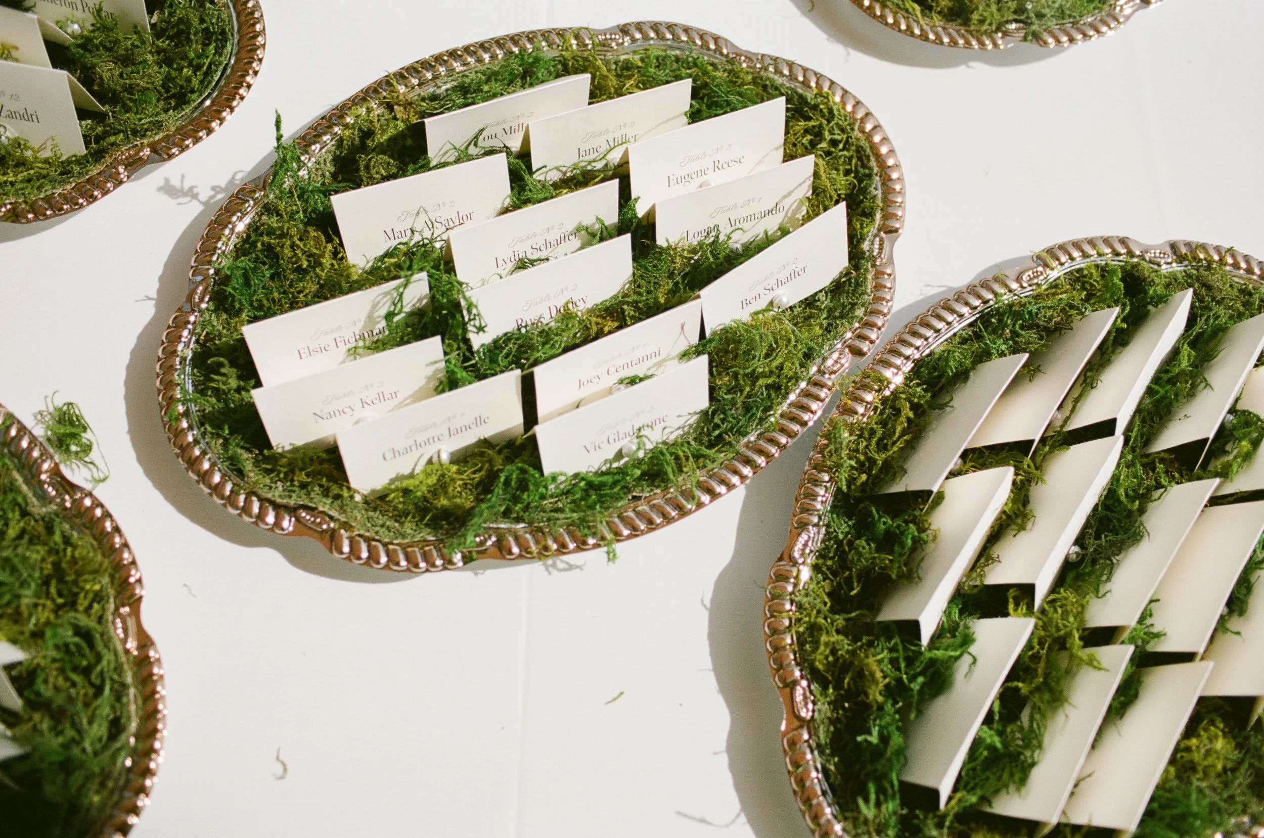 jess living photo portfolio-138.jpg