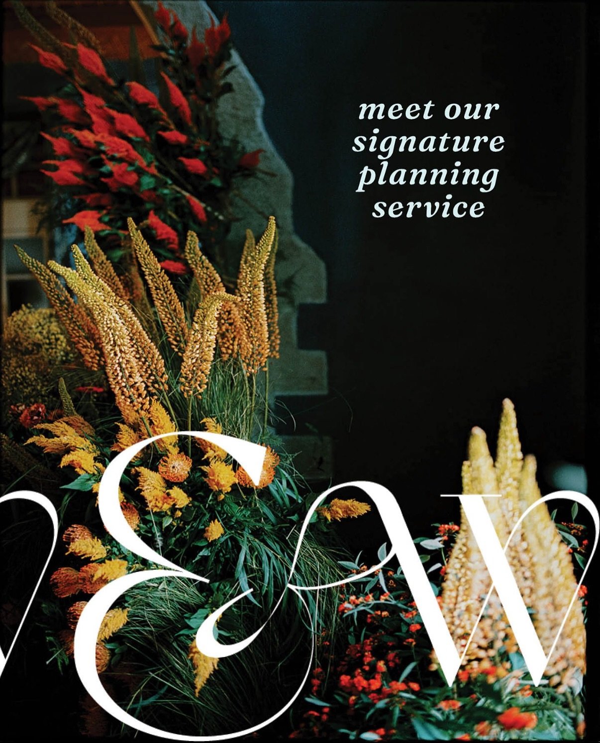 You bring your unique Italian dream. We know exactly how to make it happen.

We proudly take care of the thinking, managing the details and variables you&rsquo;re too busy for&hellip; and the ones you didn&rsquo;t know mattered.

10 years, nearly 400