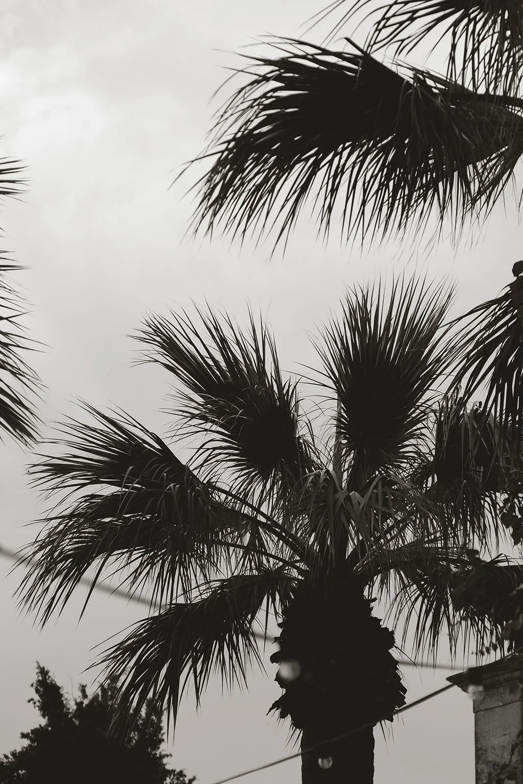 julie and mu at borgo del carato_ sicily by faye wilde photography-5.jpg