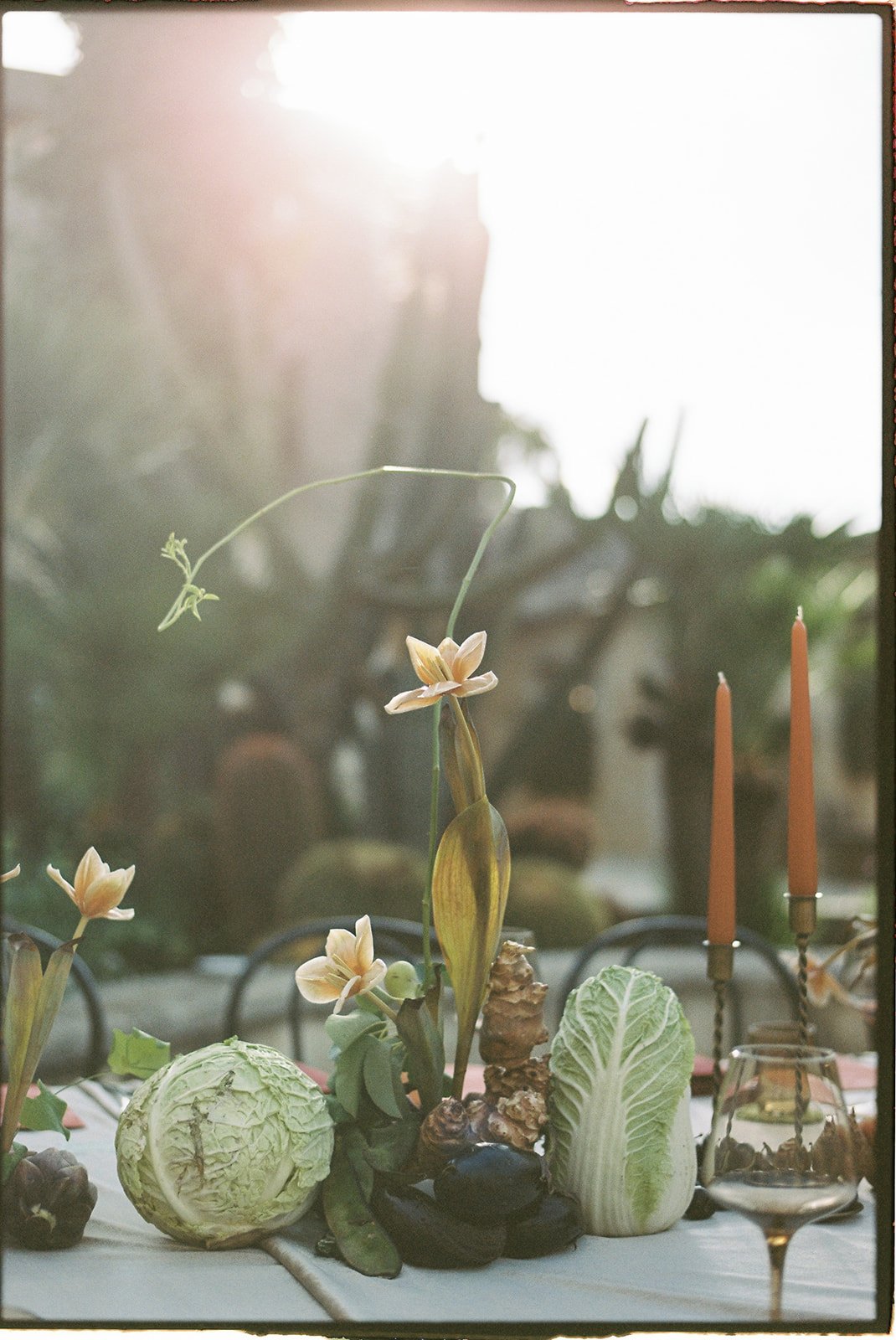 julie and mu at borgo del carato_ sicily by faye wilde photography-732.jpg