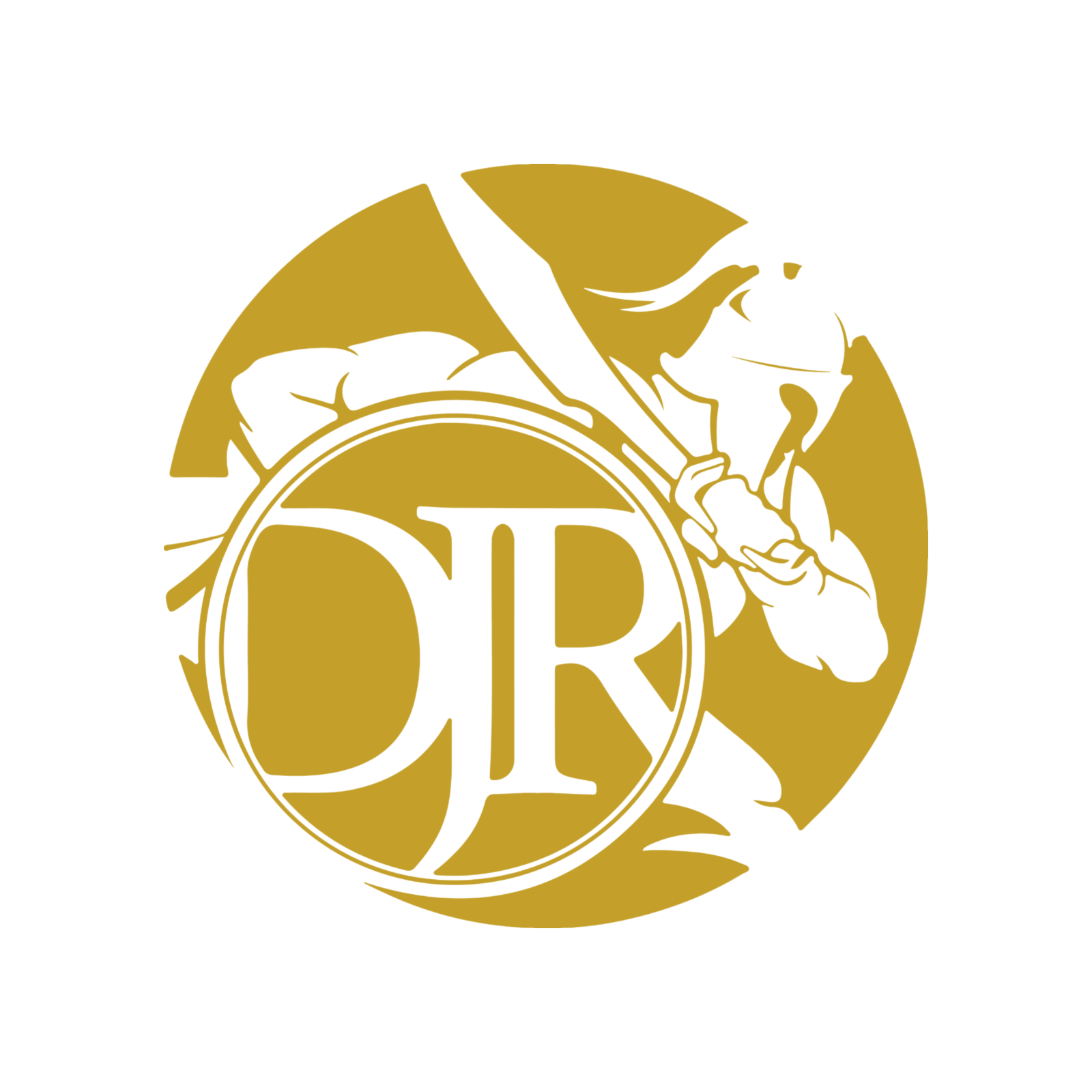 DJR Expert Guide - Bundle Gold.png