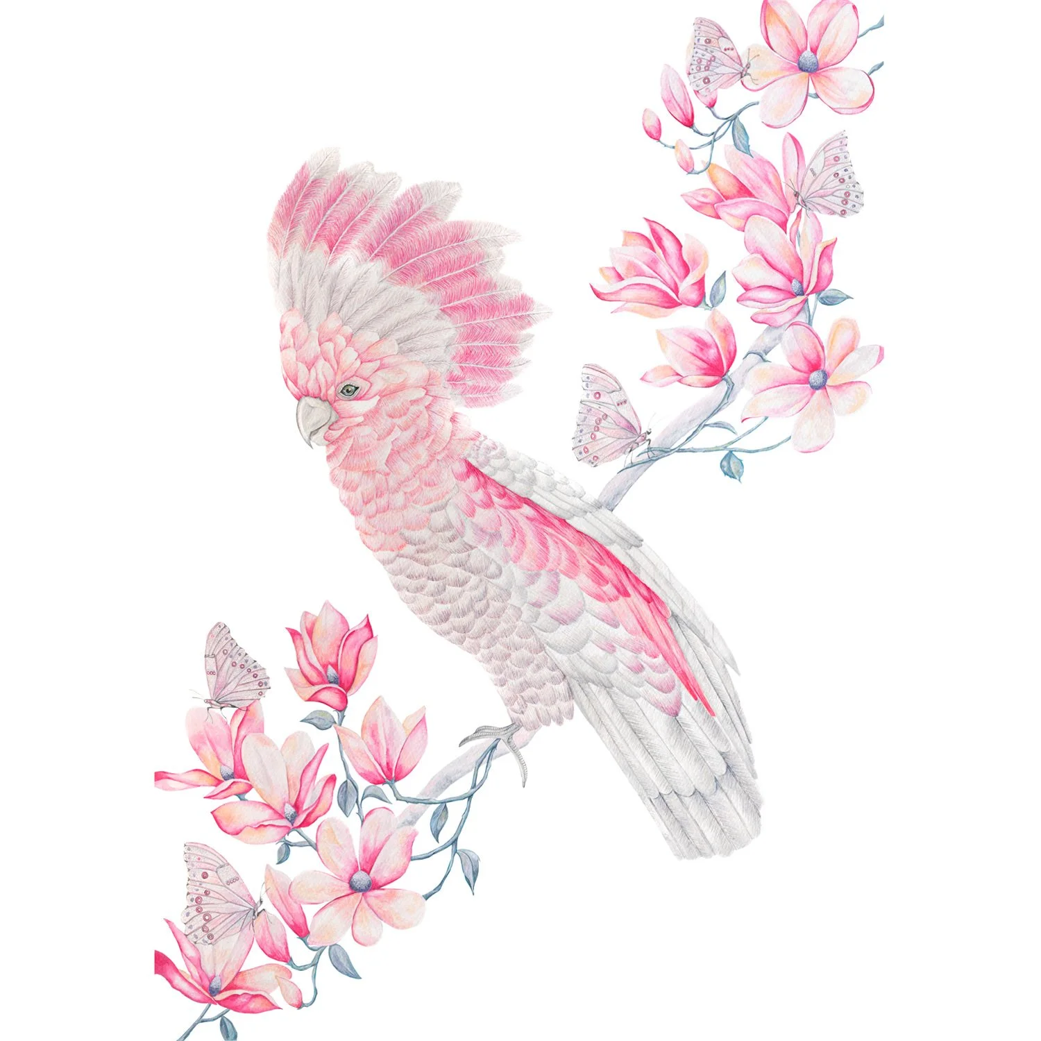 Serenity (White Background)