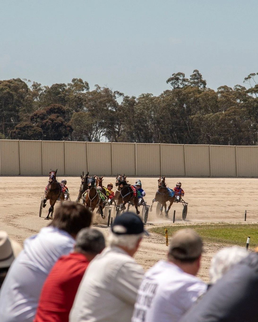 Got behind the camera for Redwood Day at Maryborough Harness Racing Club 🏆 at the start of the month 📸. 

Next stop 👉 Horsham Pacing Cup Day on Sunday, 7th of December, then Ballarat Pacing Cup in January! 🐎