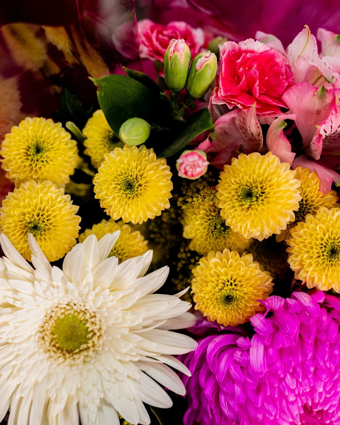 Something to brighten up your feed ☀️ 

This is your sign to treat yourself, and buy some flowers 💐

📸 Grevillea Cottage, Beaufort