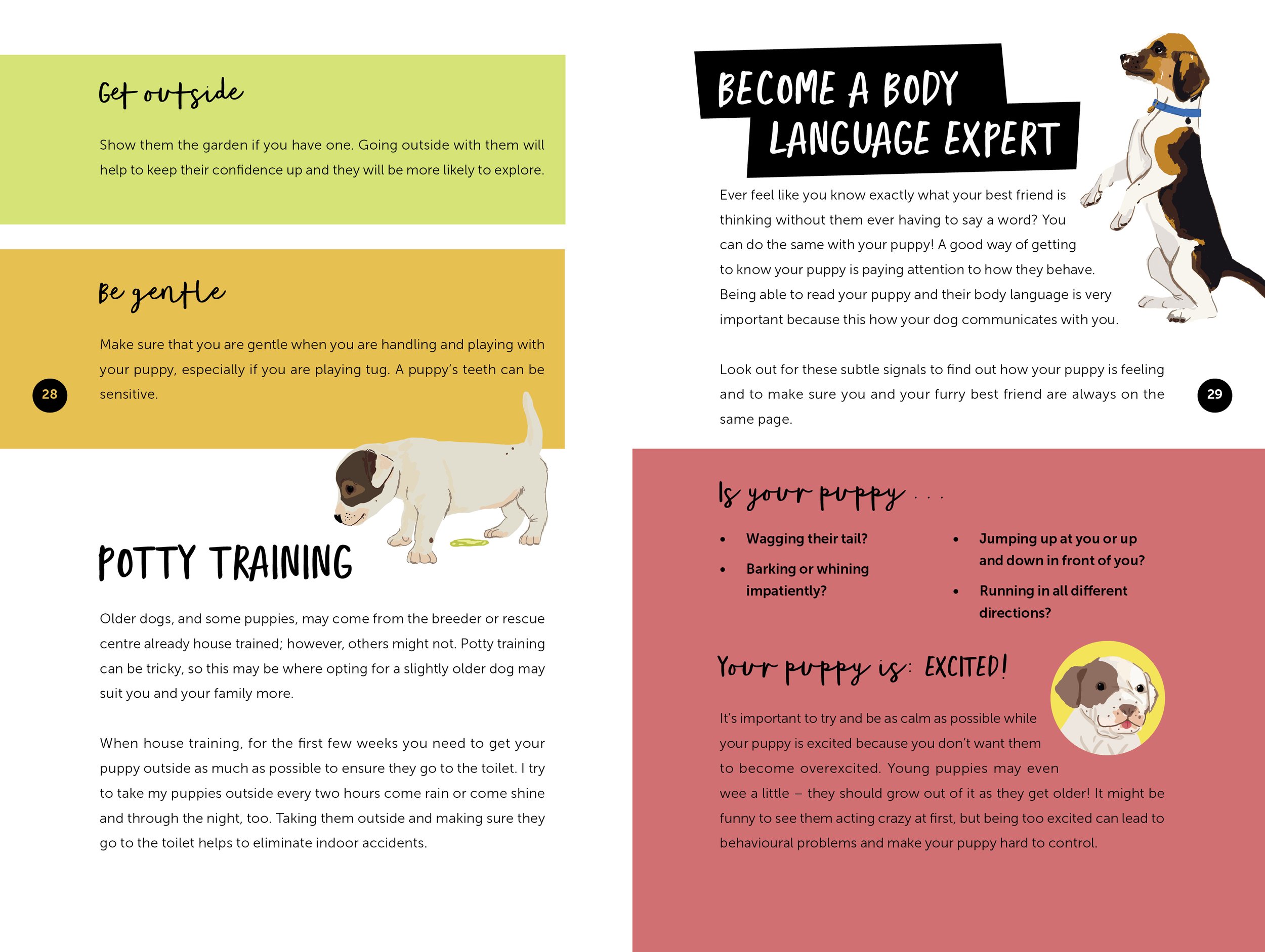 Happy Puppy, Happy Dog: How to train your best friend , Scholastic Children's Books © 2021