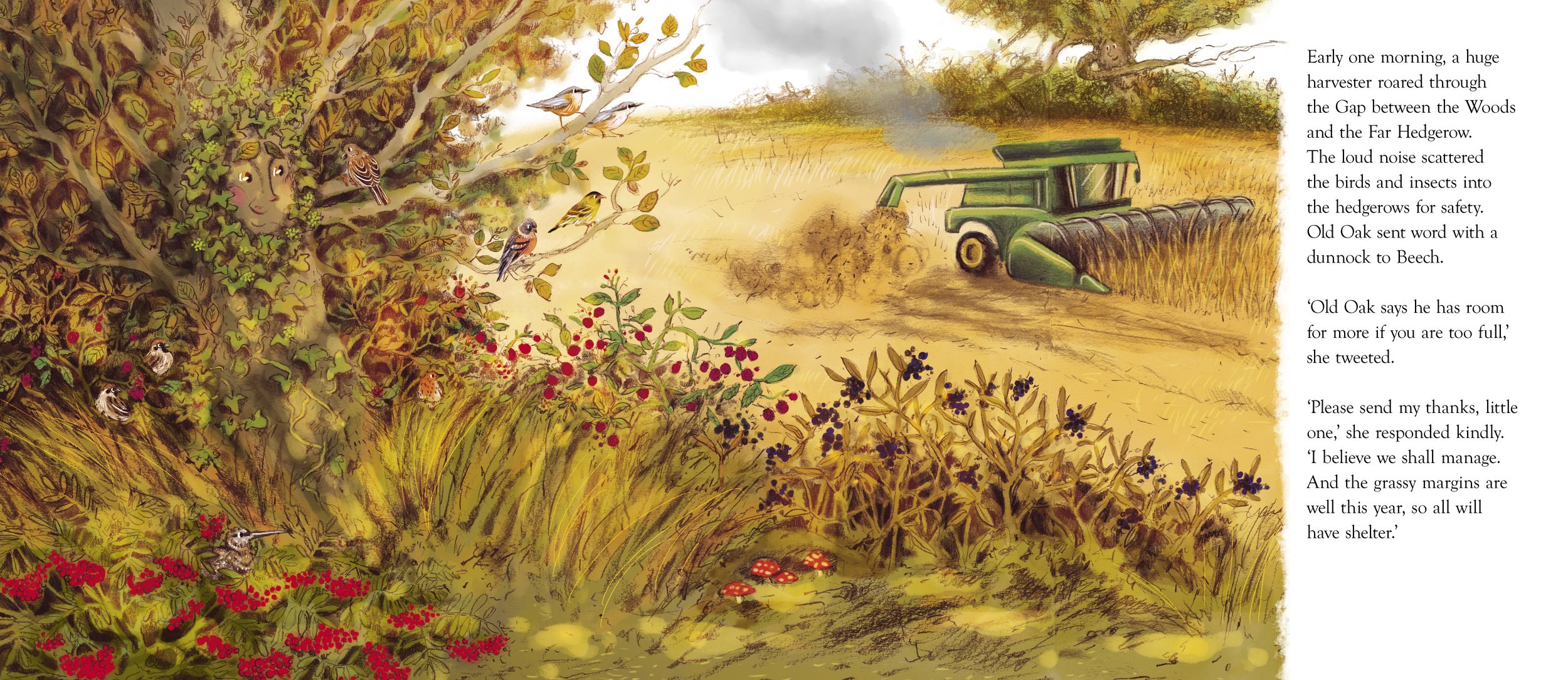 The Happy Hedgerow, Pikku Publishing © 2021