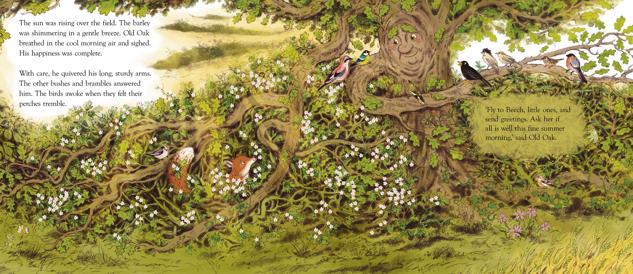 The Happy Hedgerow, Pikku Publishing © 2021