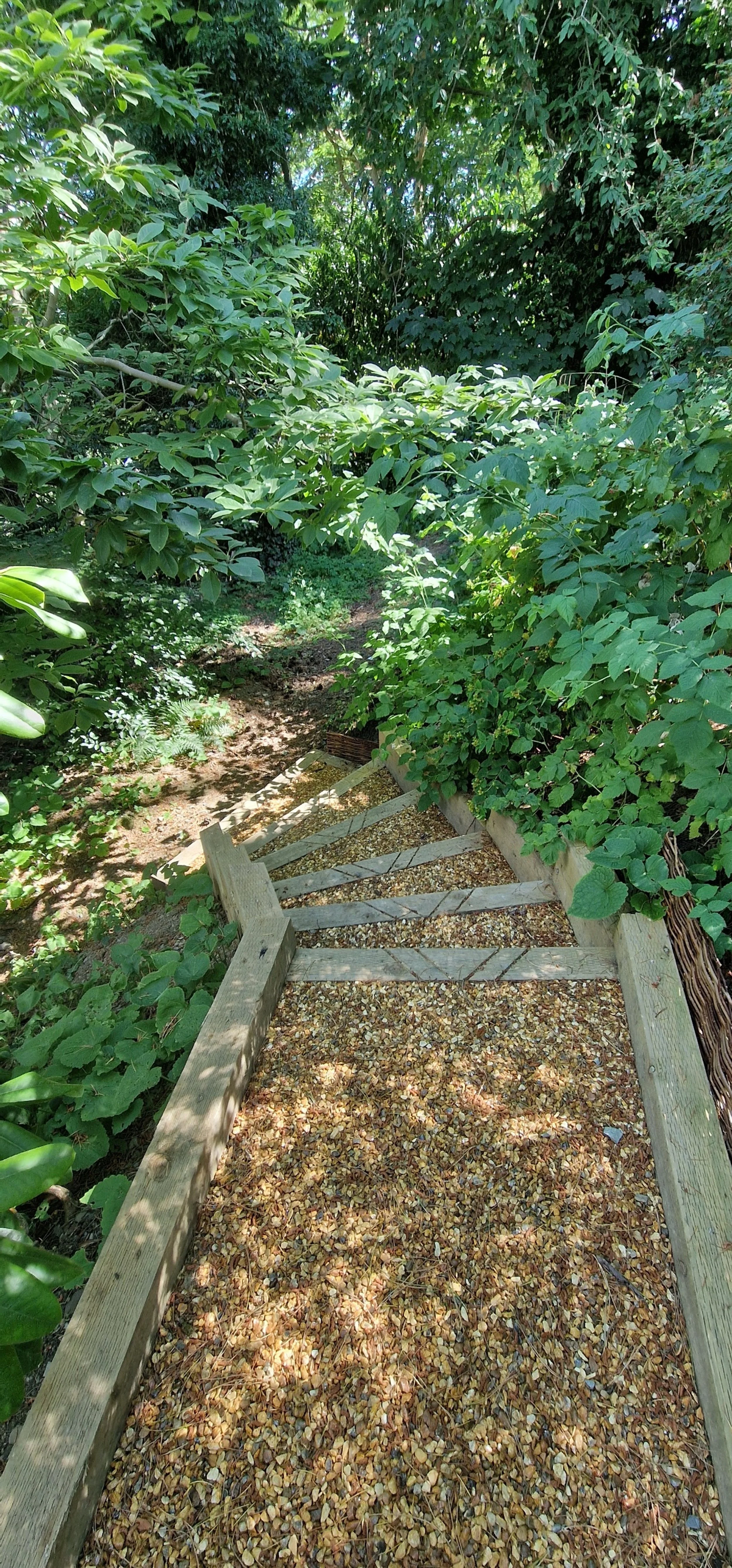 processed_20250709_161431.jpg