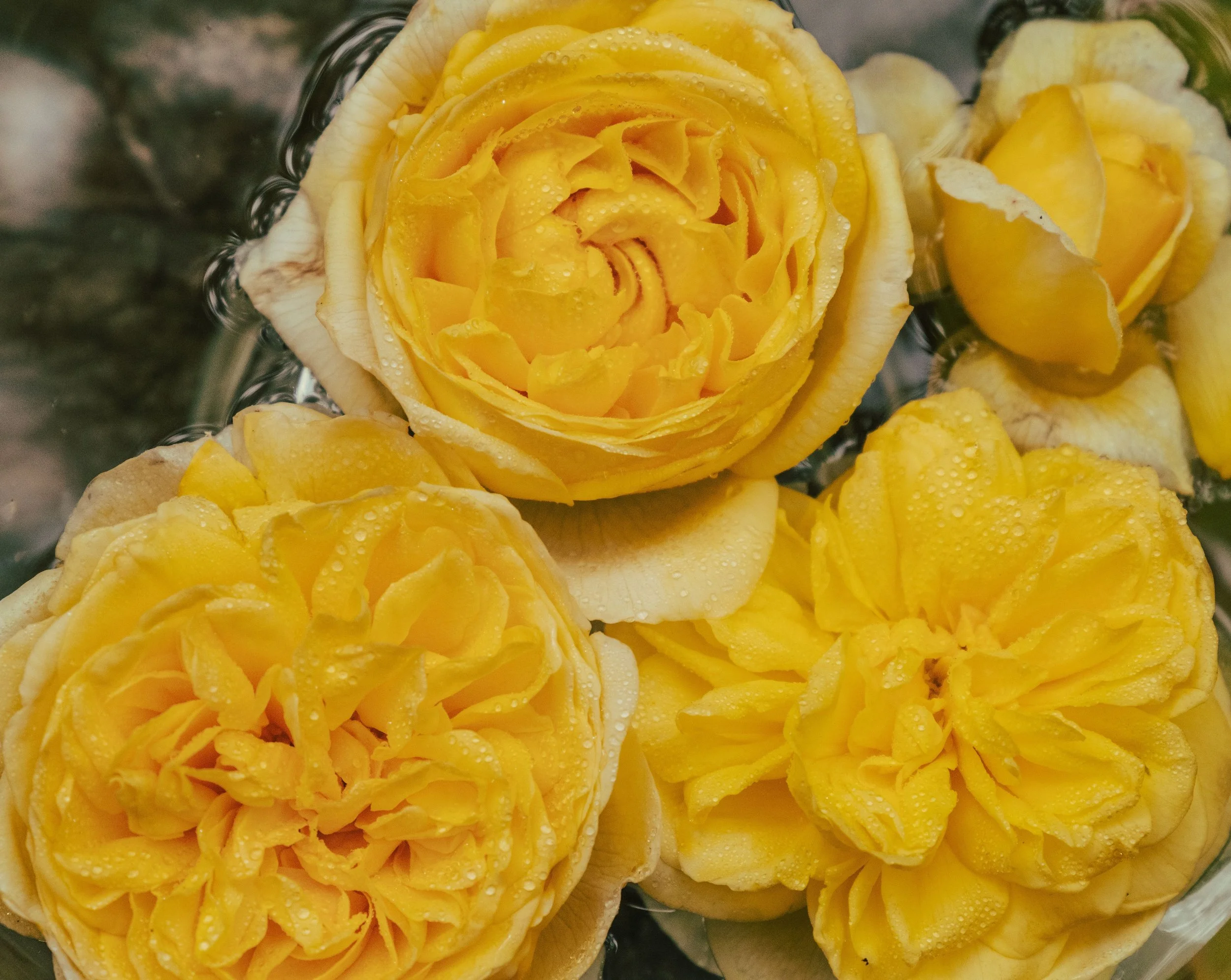 Flower Power: Beauty from within