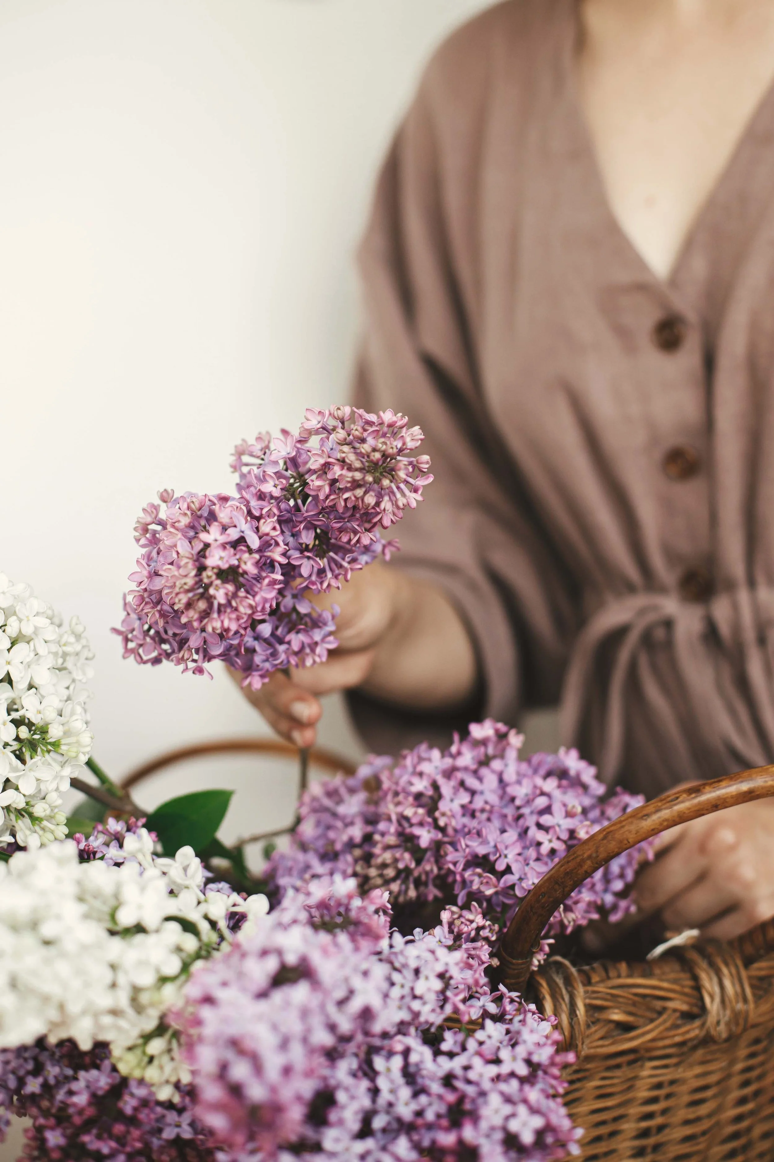How to make lilac honey for skin and digestive balance.
