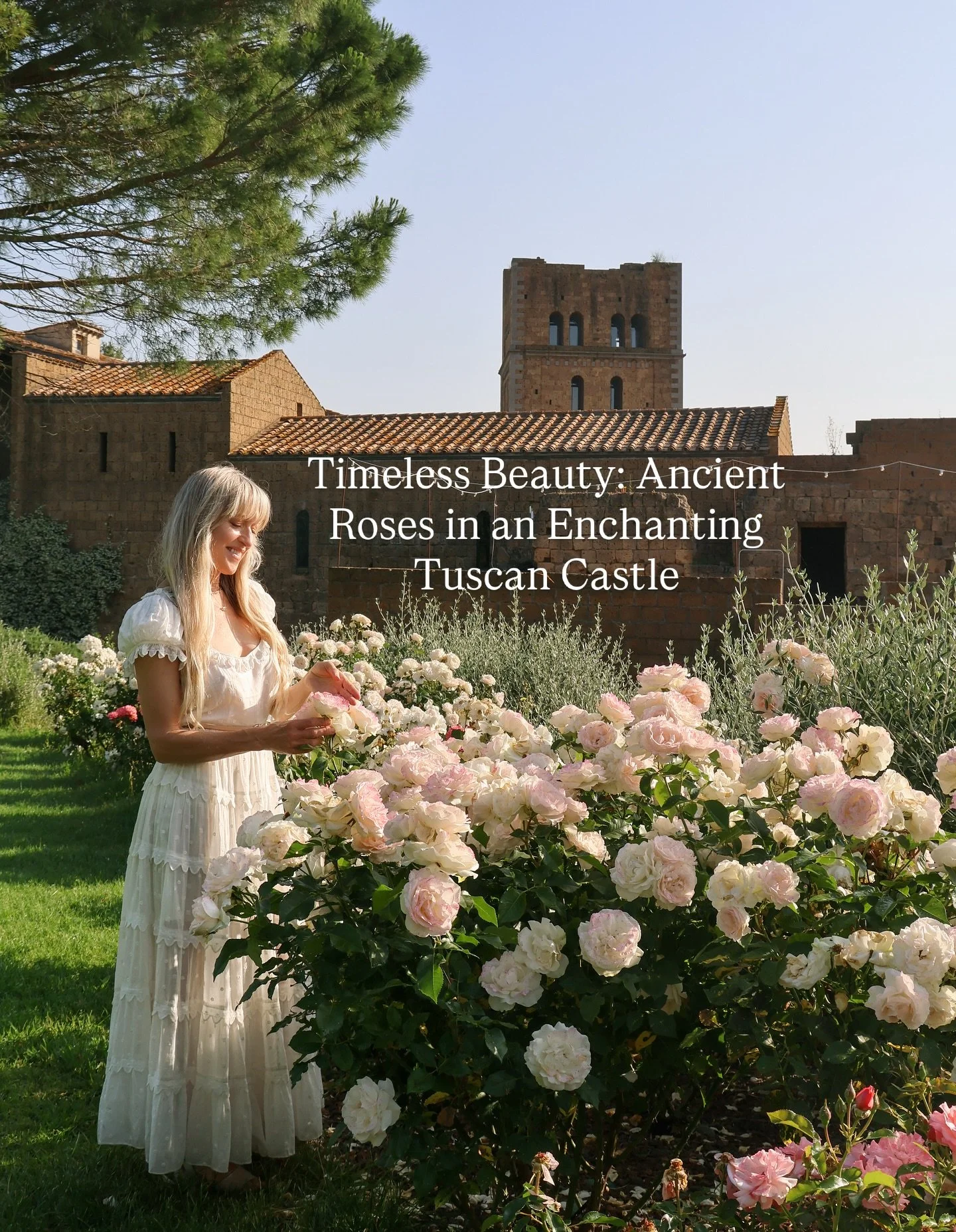 🏰🌹As I stand among the blooming roses in this otherworldly, ancient castle nestled in Tuscany, Italy, constructed in 1146, I am reminded of the timeless and universal call of roses for healing and beauty that has resonated with different cultures t