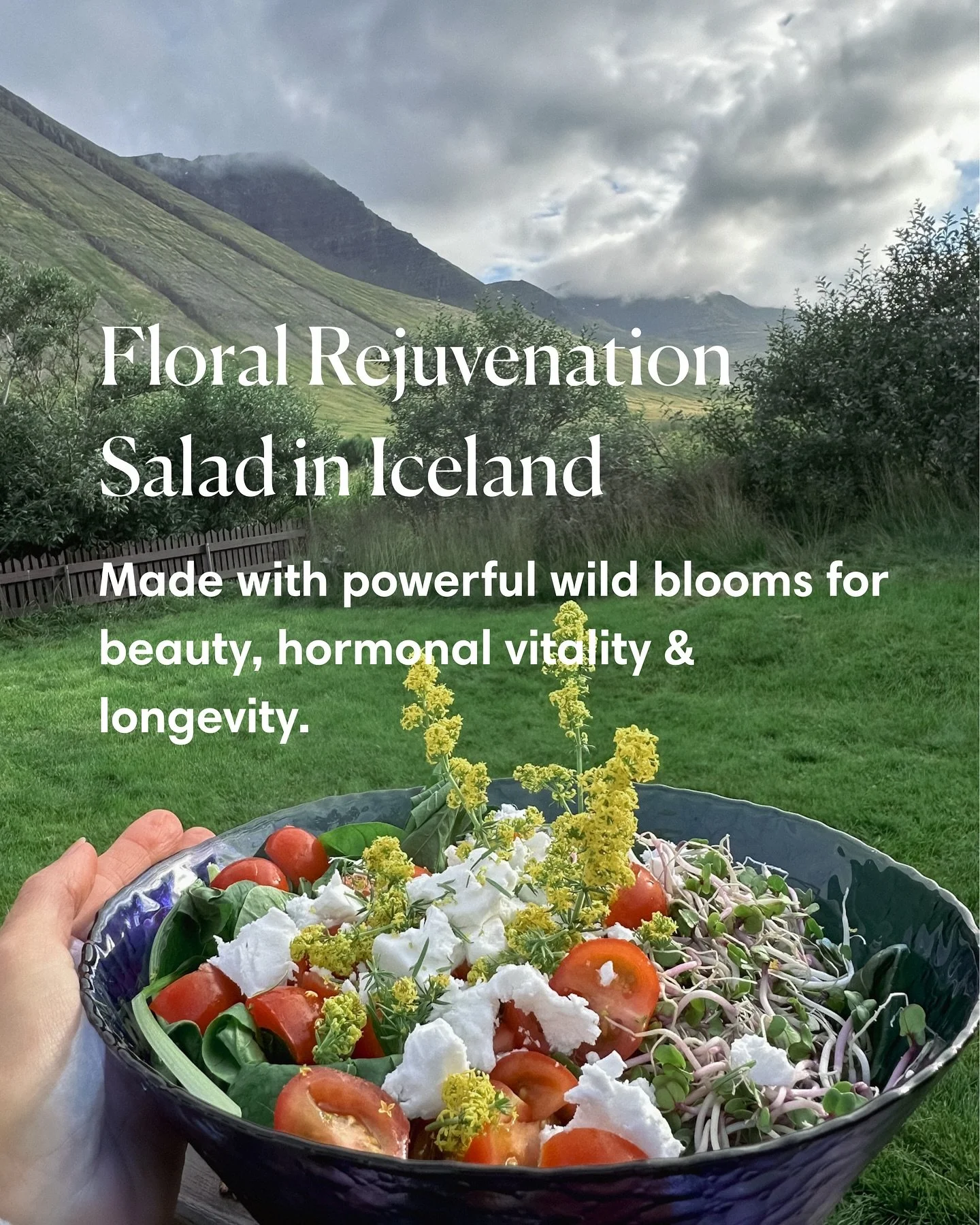 ✨🪻As an herbalist and nutritional educator I’ve been fascinated with plants, and flowers specifically, that truly excel at advanced rejuvenation, beauty and longevity to create glowing health, inside and out. ✨🔑Without question, some of the m