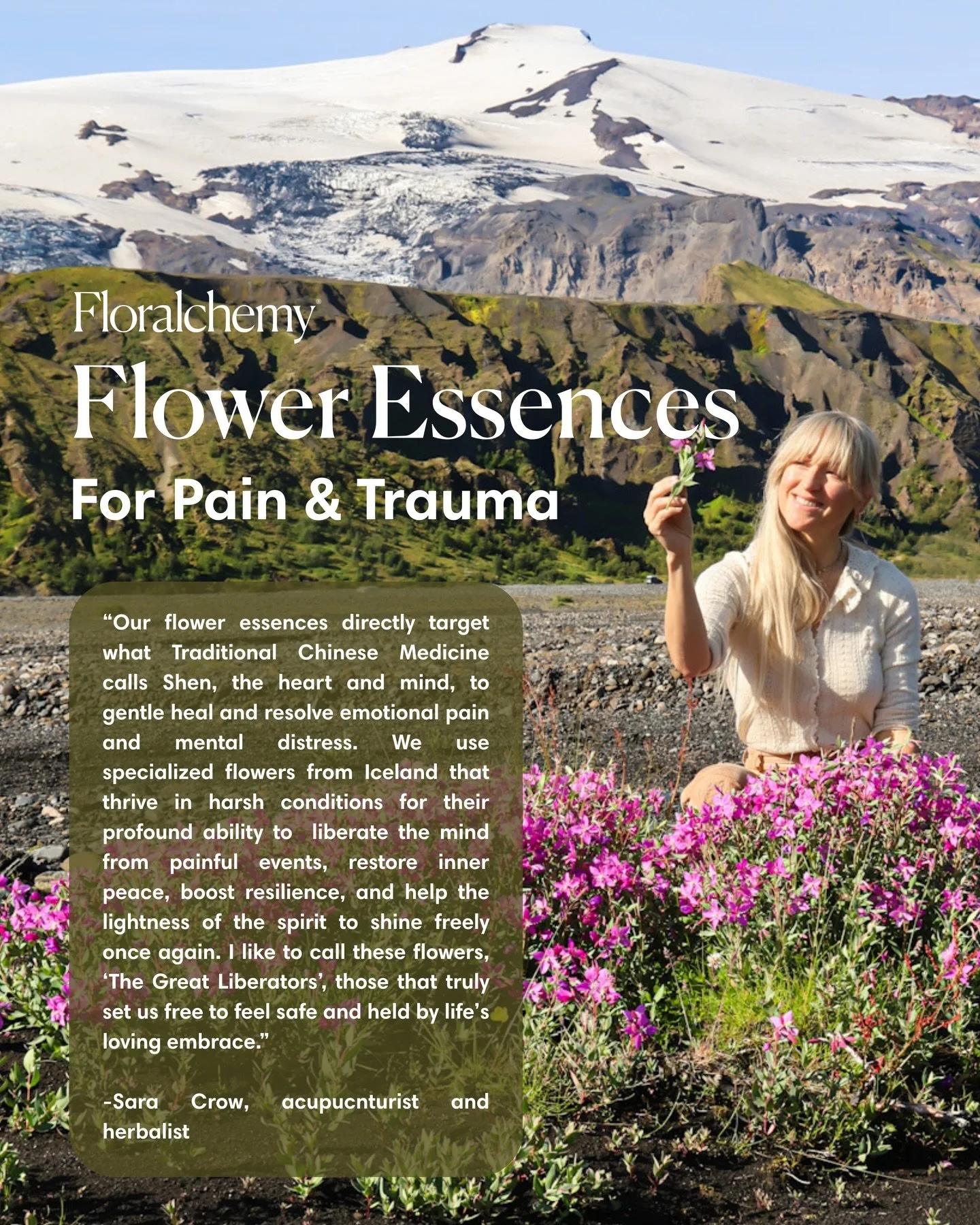 🌷Flower essences capture and concentrate the creative life energy of a plant and are highly skilled, gentle solutions to heal the mind and heart, encourage emotional recovery, and catalyze deeper bodily harmony to address pain and trauma. These spec