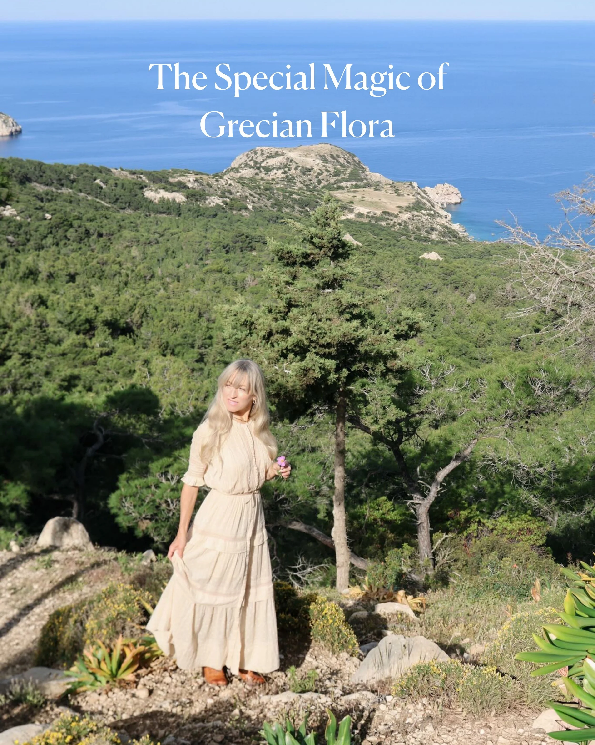 🌸Grecian flora played a central role in ancient medicine, with physicians like Hippocrates and Dioscorides cataloging plant-based remedies that formed the foundation of Western pharmacology. These botanical traditions preserved through herbals and p