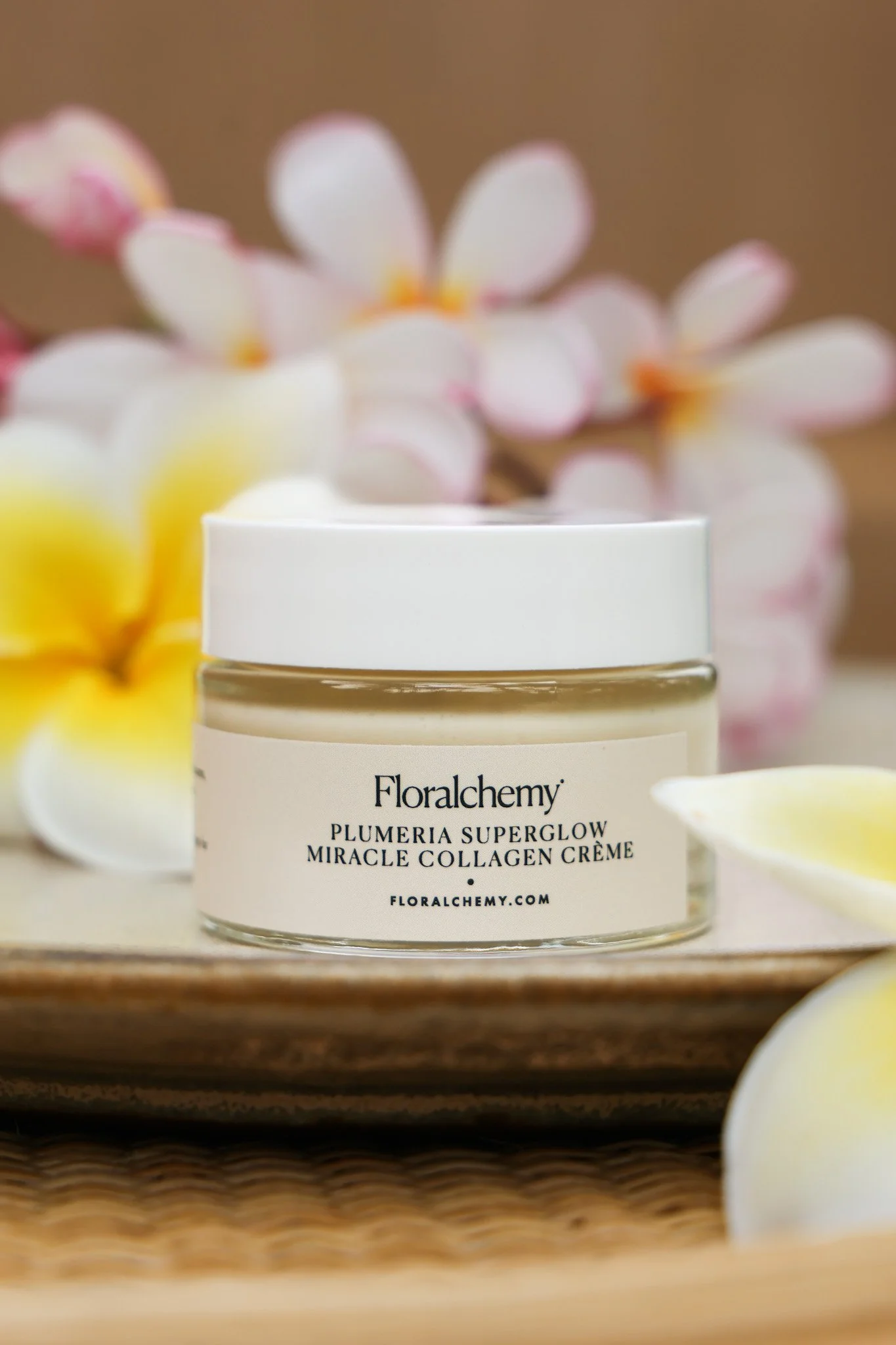 plumeria creme 3.JPG