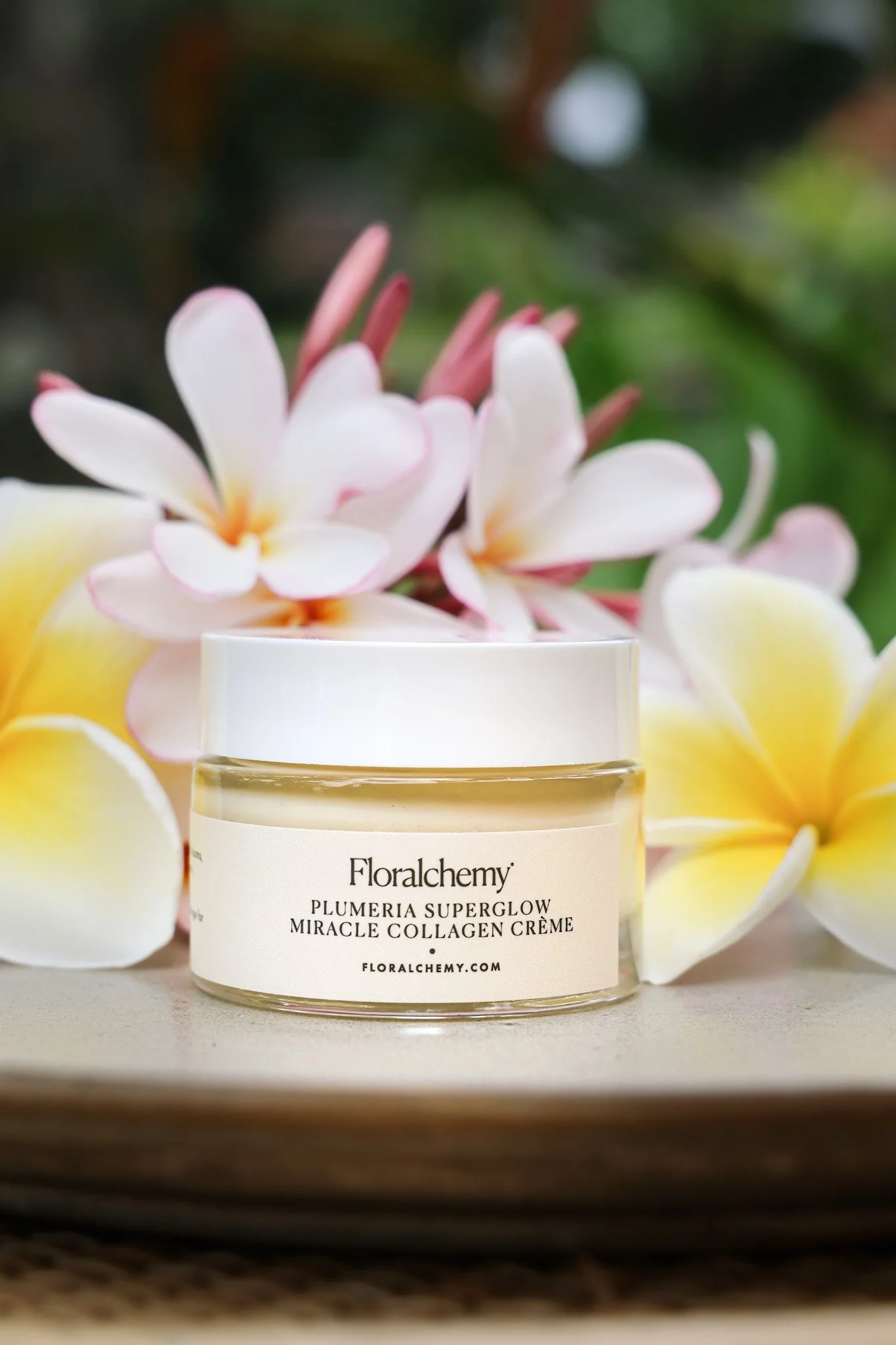 plumeria superglow creme.JPG