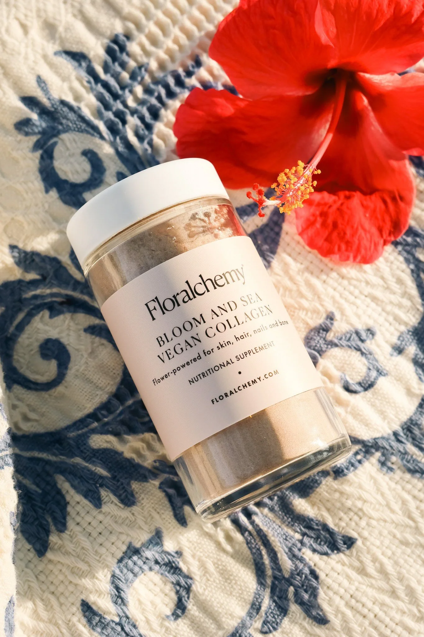 brighter bloom and sea 7.jpeg