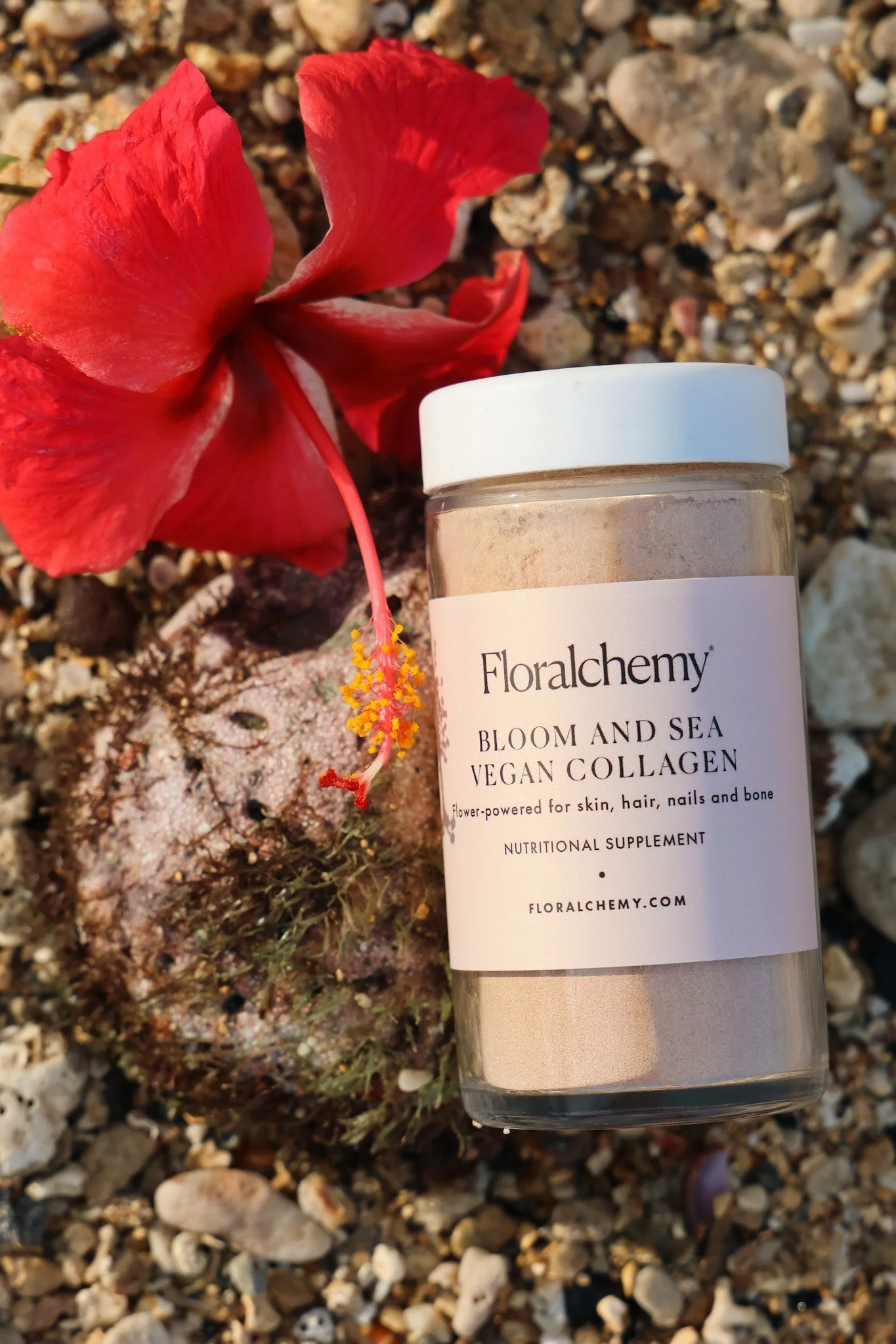 bloom and sea 7.jpeg