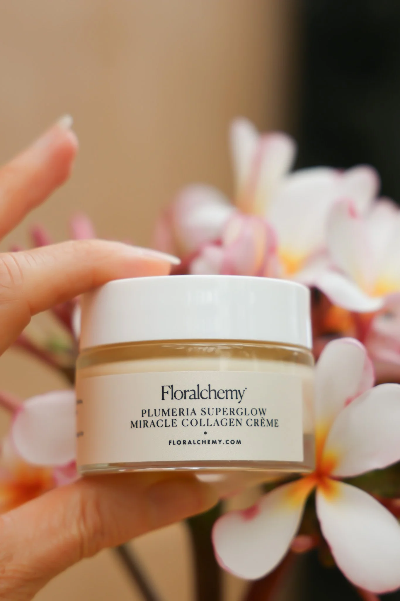 plumeria creme1.jpeg