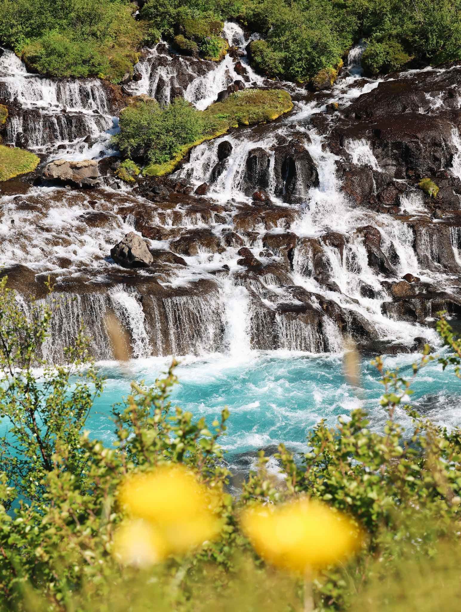 iceland.jpg
