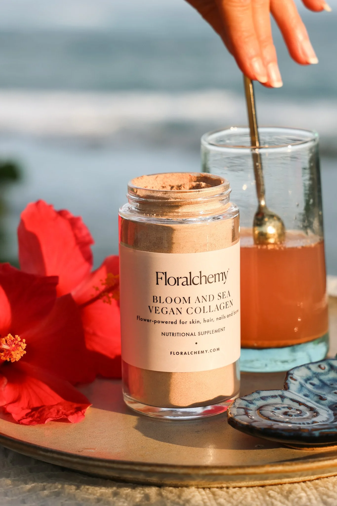 bloom and sea new.jpeg