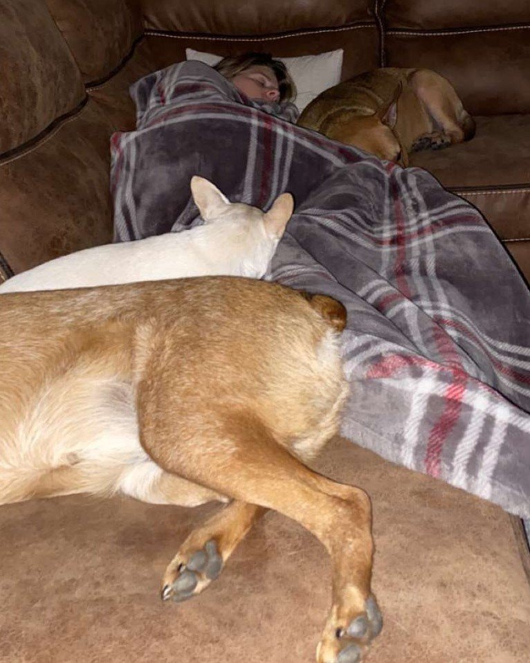 Must Love Dogs