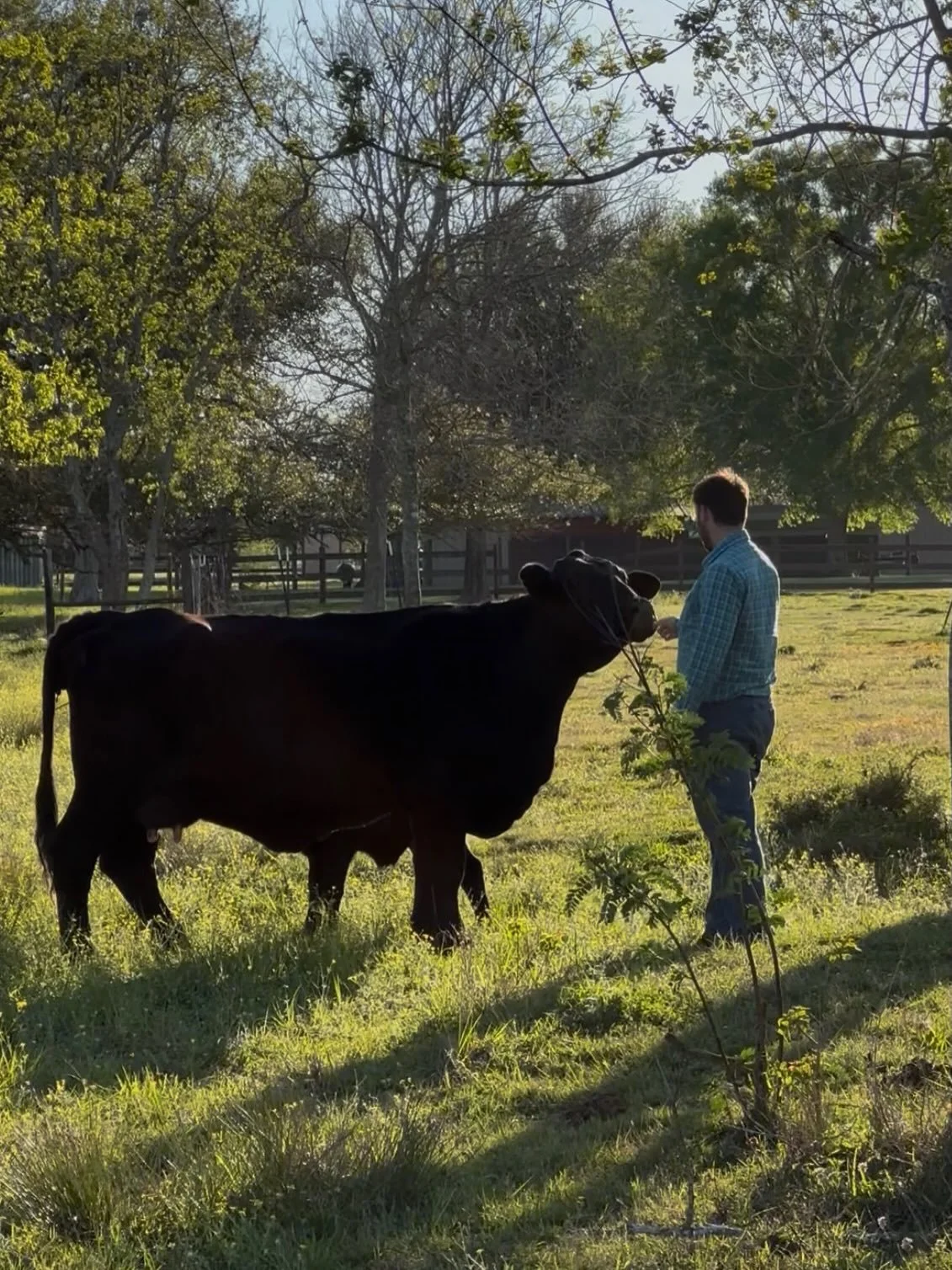 Dinner with our Dakota after a quick visit with his Annabelle and her newest calf.  Absolutely love the tradition of these dinners with him while he&rsquo;s in town for work.  #justdakota #circlek