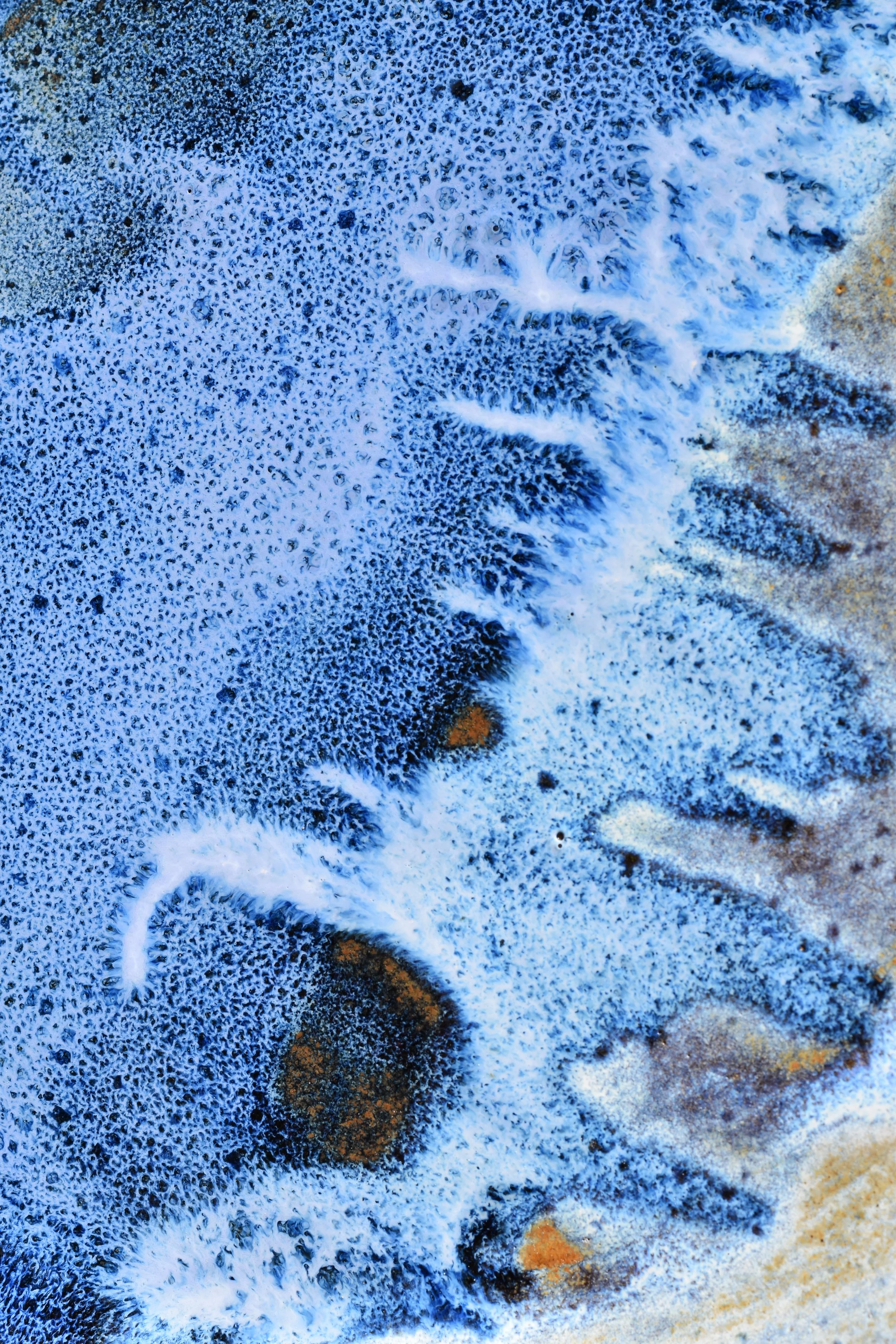 DSC_1369.JPG