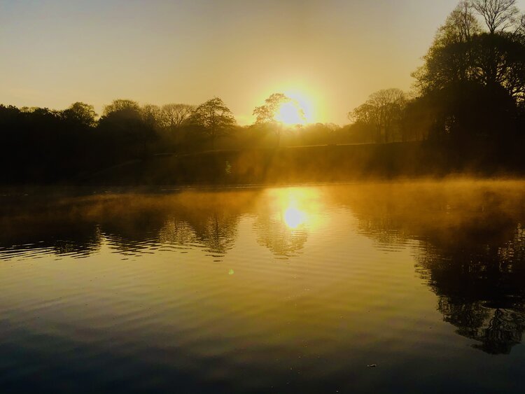 63IMG_3950.jpeg
