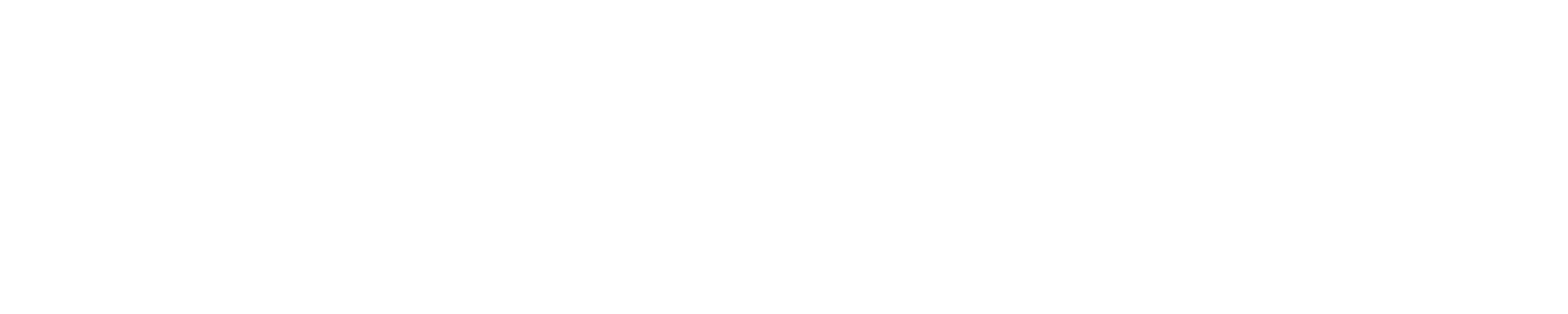 LightBloom Studio