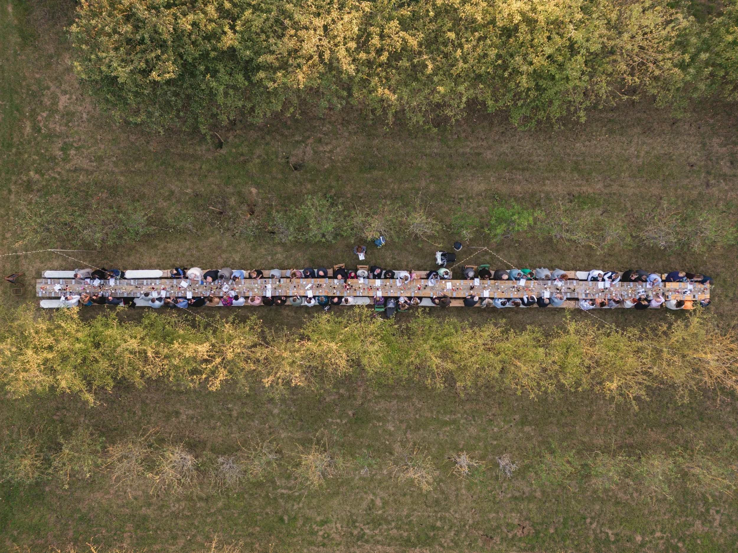 A long outdoor community dinner table set up on a grassy field, surrounded by trees, with many people seated and enjoying food.