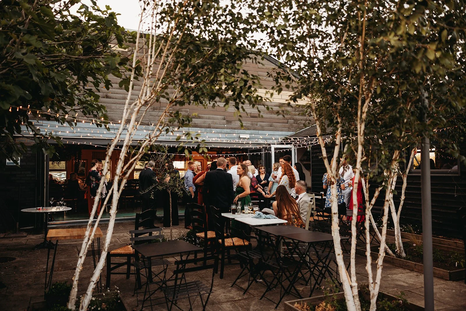People socializing at an outdoor party with string lights and trees.