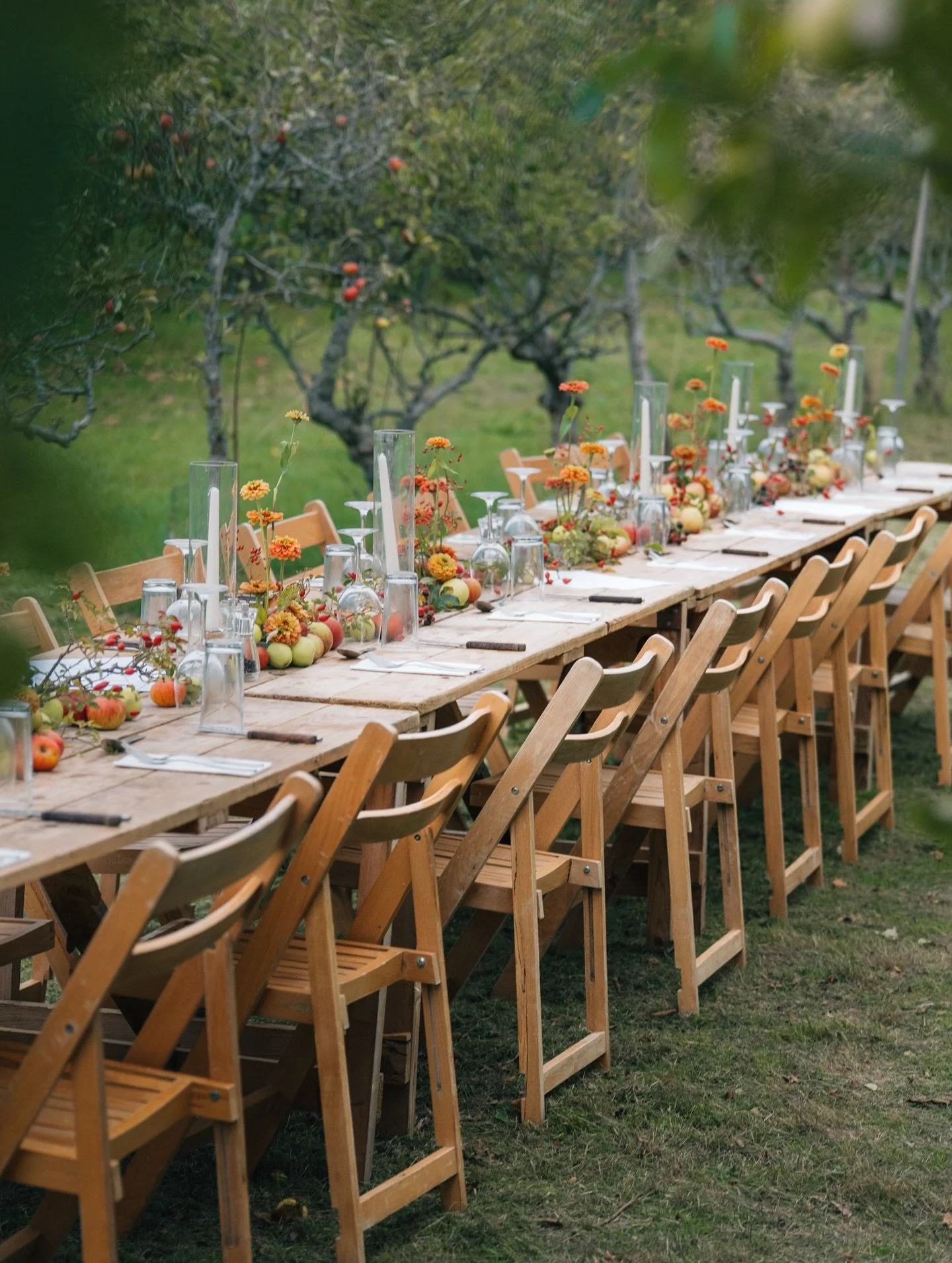 &ldquo;It wasn&rsquo;t just a meal, it was an experience.&rdquo;

That&rsquo;s how one guest described their first visit to Provenance for Orchard Feast.

Held amongst the apple trees with vintage aircraft flying overhead, the setting was nothing sho
