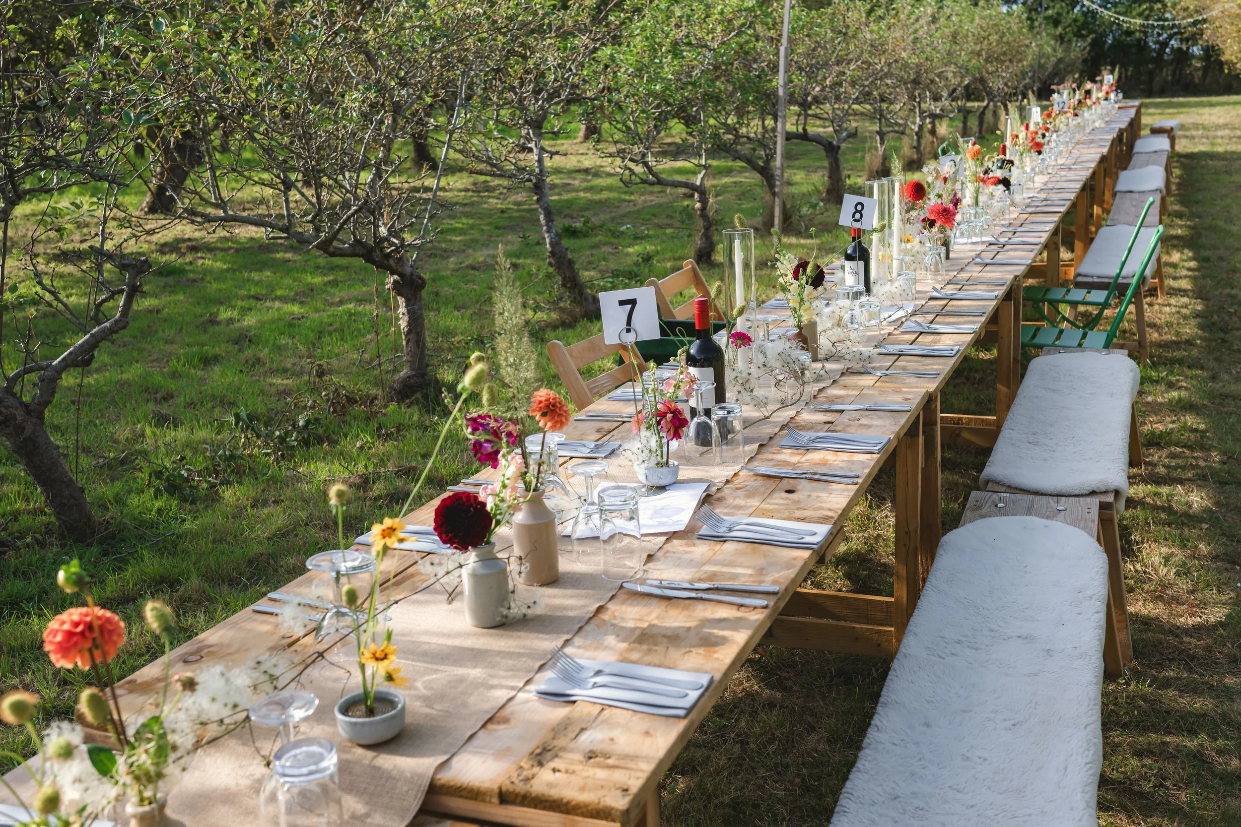 Long wooden outdoor table set for a meal, surrounded by chairs with white cushions, on grassy ground among leafless trees with green grass and some foliage in the background.
