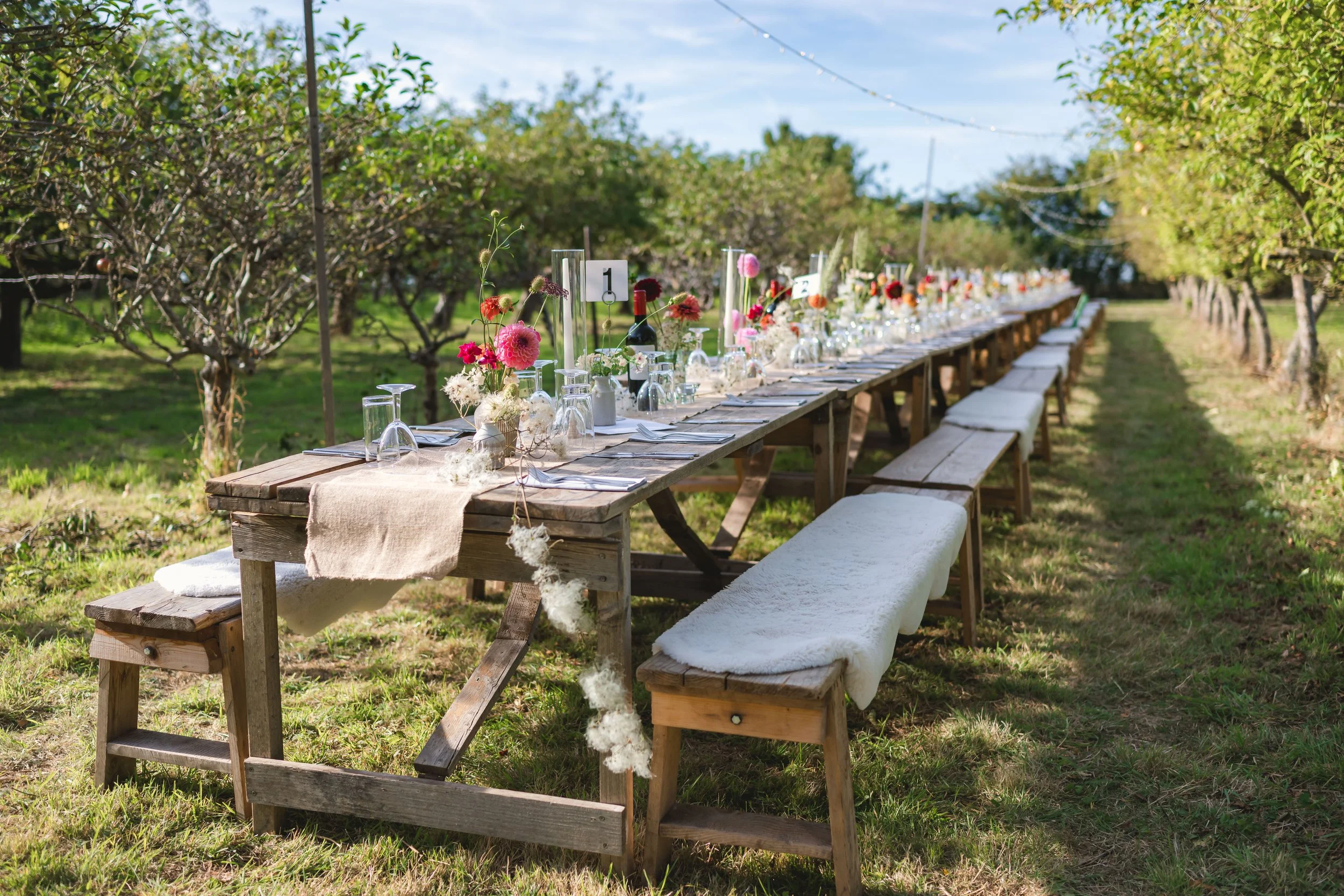 Long outdoor dining table set in an orchard with chairs, tableware, and floral centerpieces, on a sunny day with blue sky and trees.