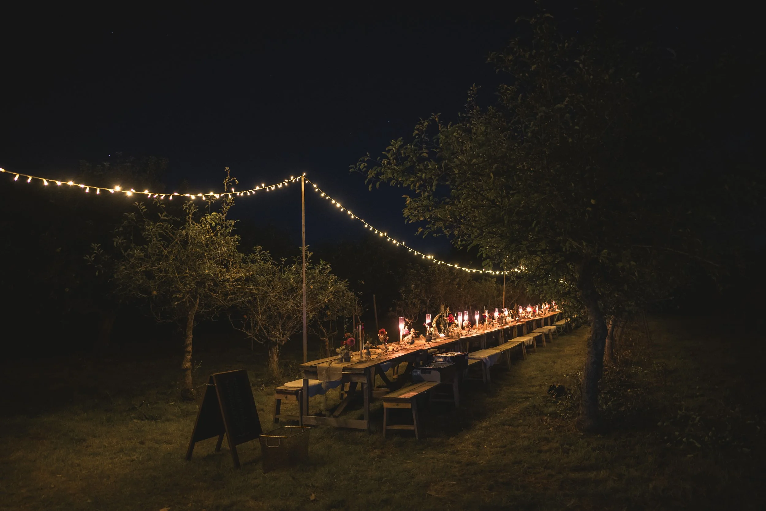 Long outdoor table set up for a nighttime event with candles and flowers, decorated with string lights overhead, surrounded by trees on a grassy area.