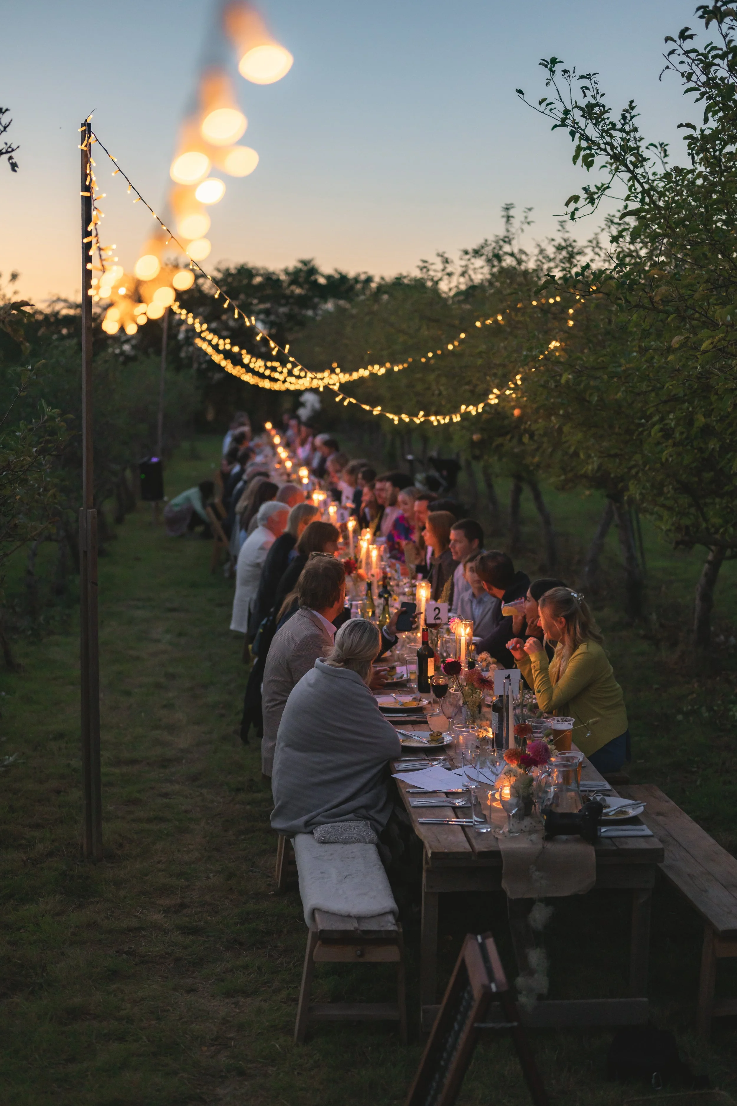 Long outdoor dinner party at twilight with string lights overhead, people seated along a rustic wooden table with candles and flowers, surrounded by trees.